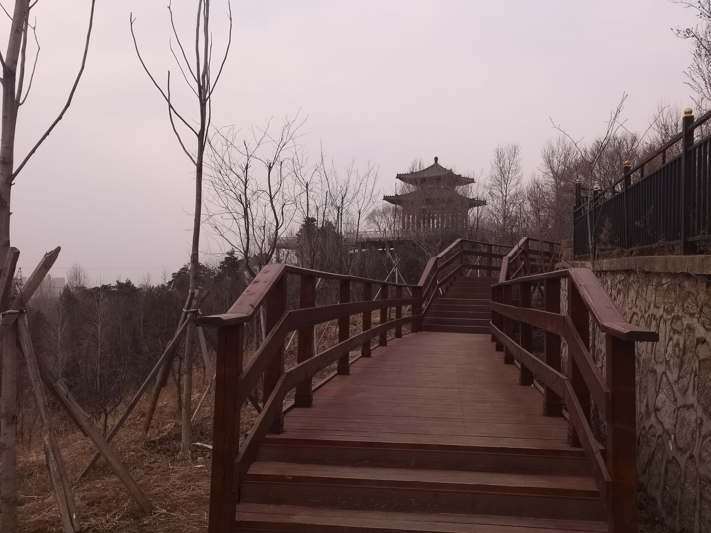 桃源山公园旅行图片 1