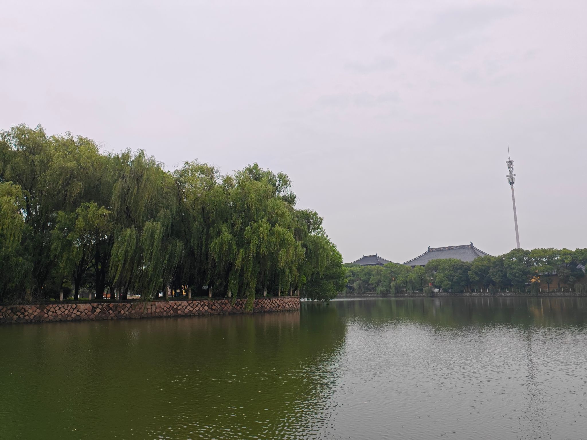 利济文化公园旅行图片 1
