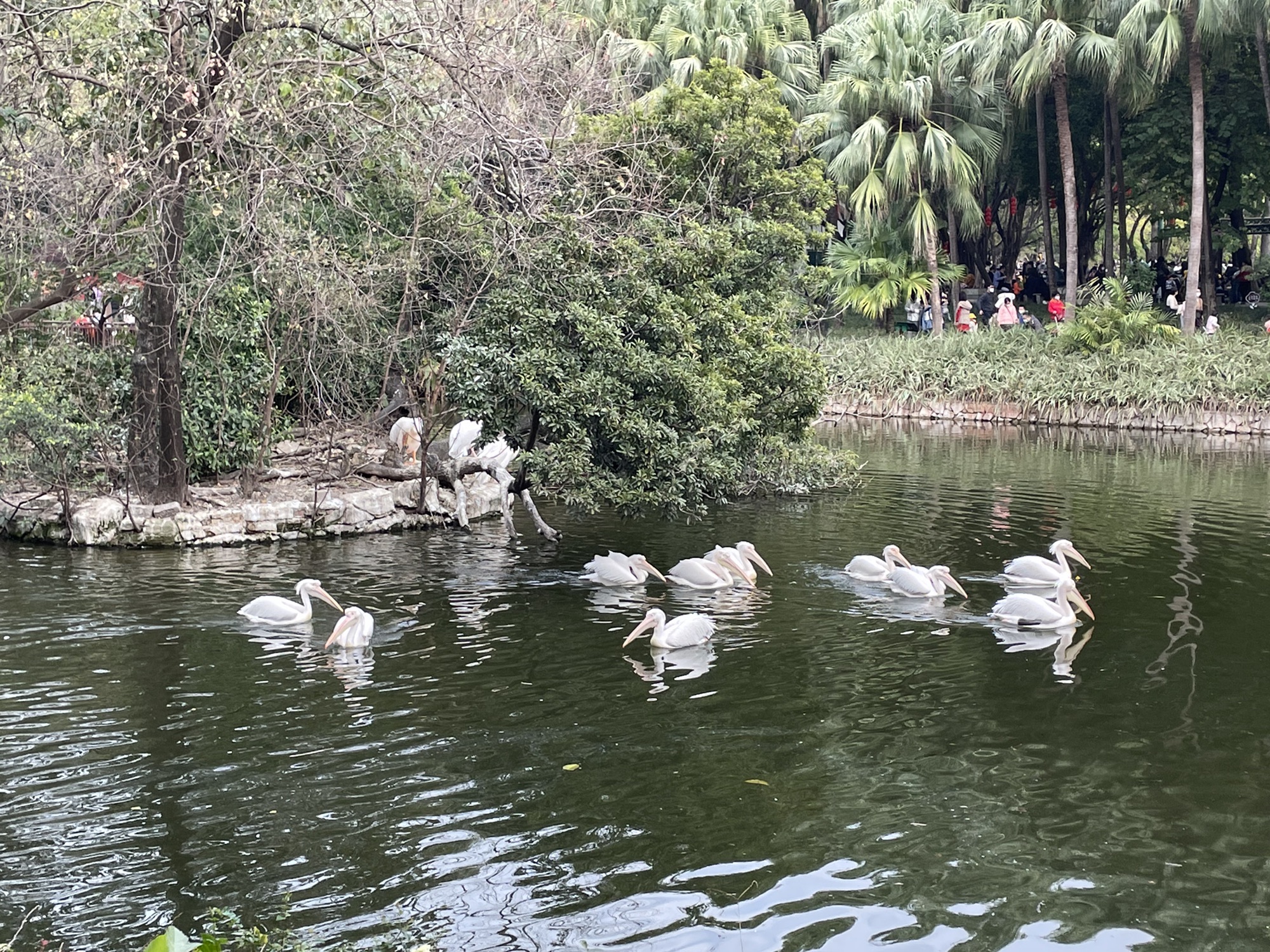 珑湖展示中心旅行图片 1