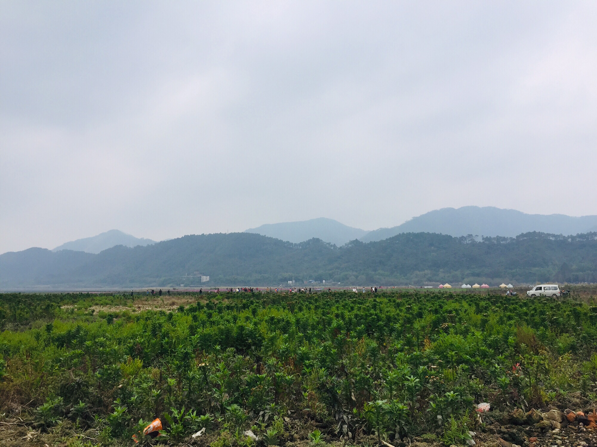 珑湖展示中心旅行图片 1