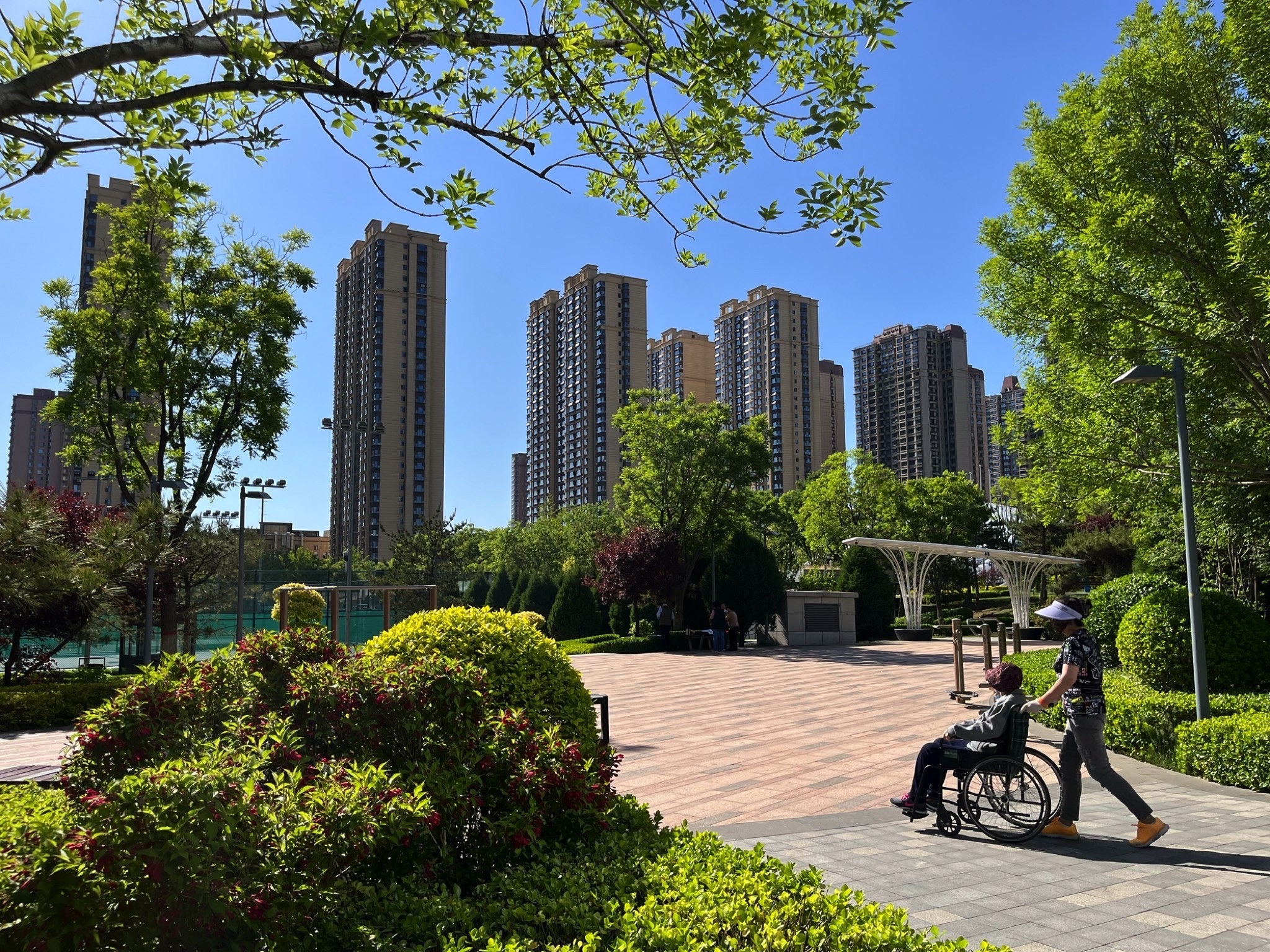 滨河体育公园旅行图片 1