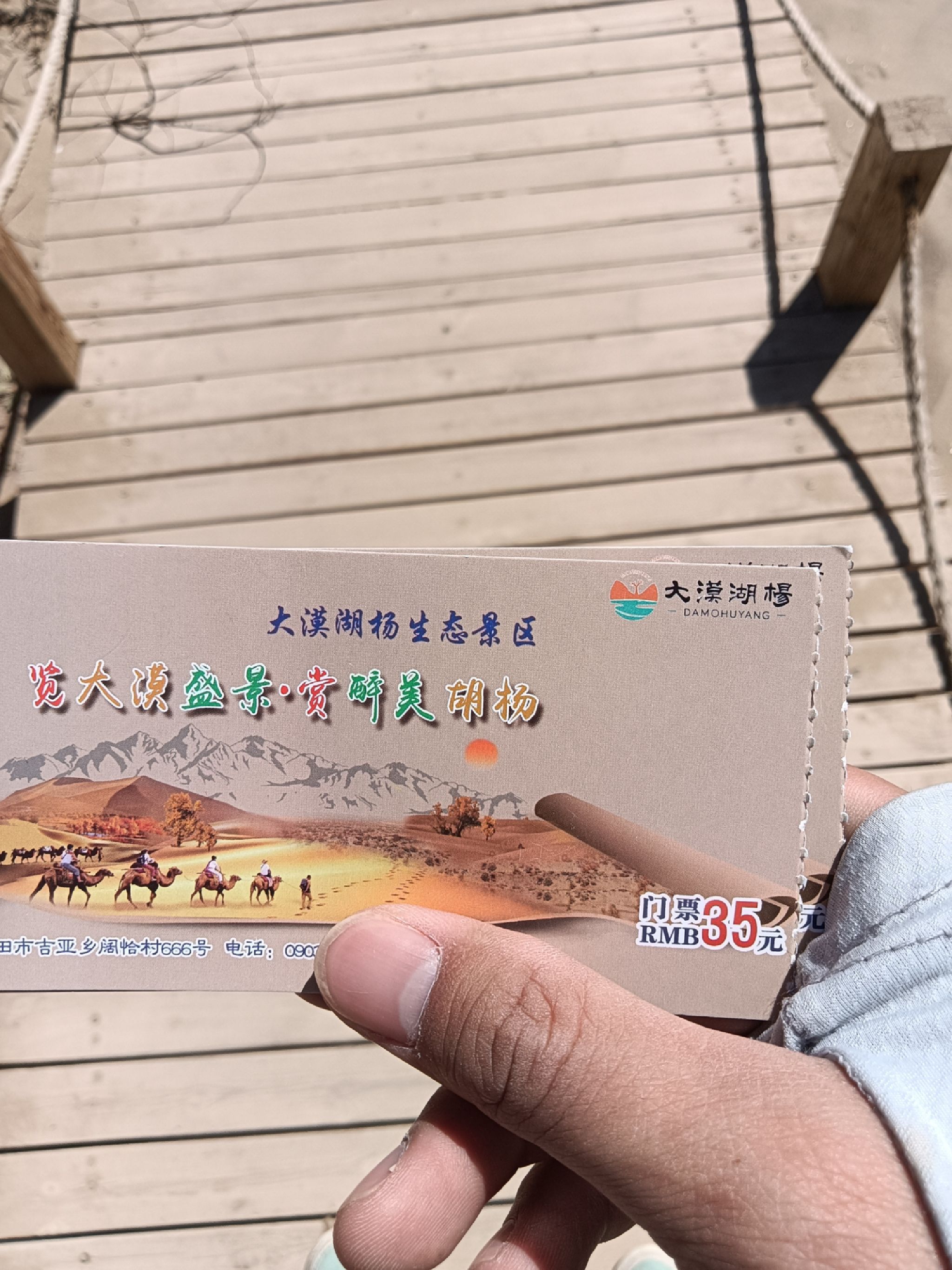 大漠湖杨生态景区