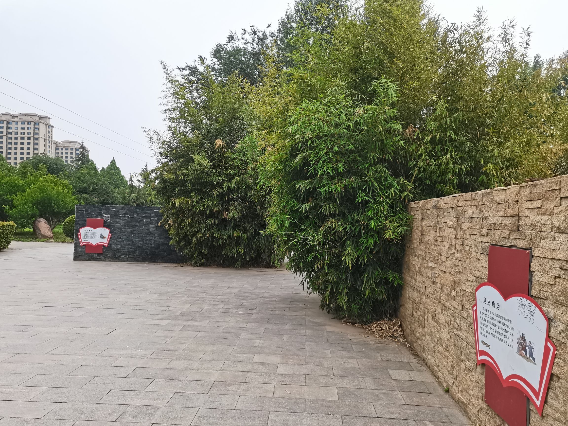 内丘康庄公园旅行图片 2