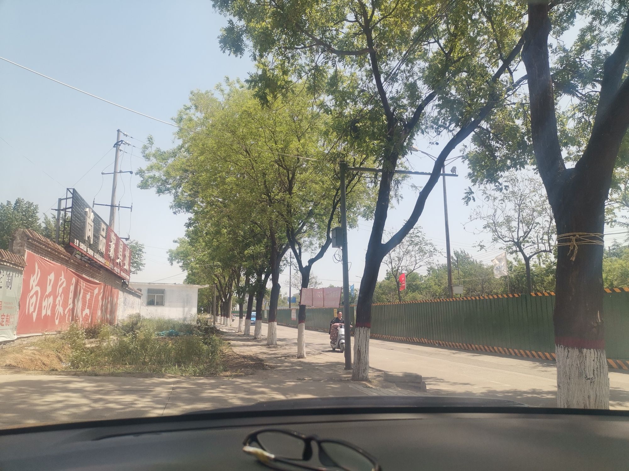 焦作黄河滩湿地生态旅游区旅行图片 1