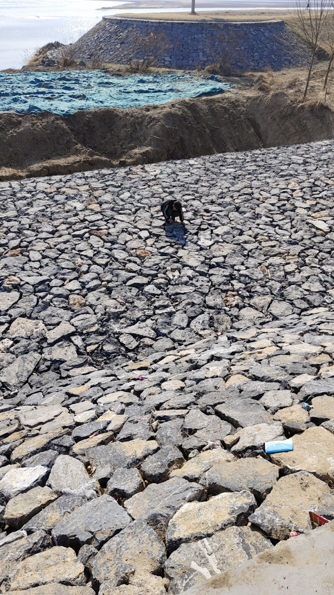 焦作黄河滩湿地生态旅游区旅行图片 2