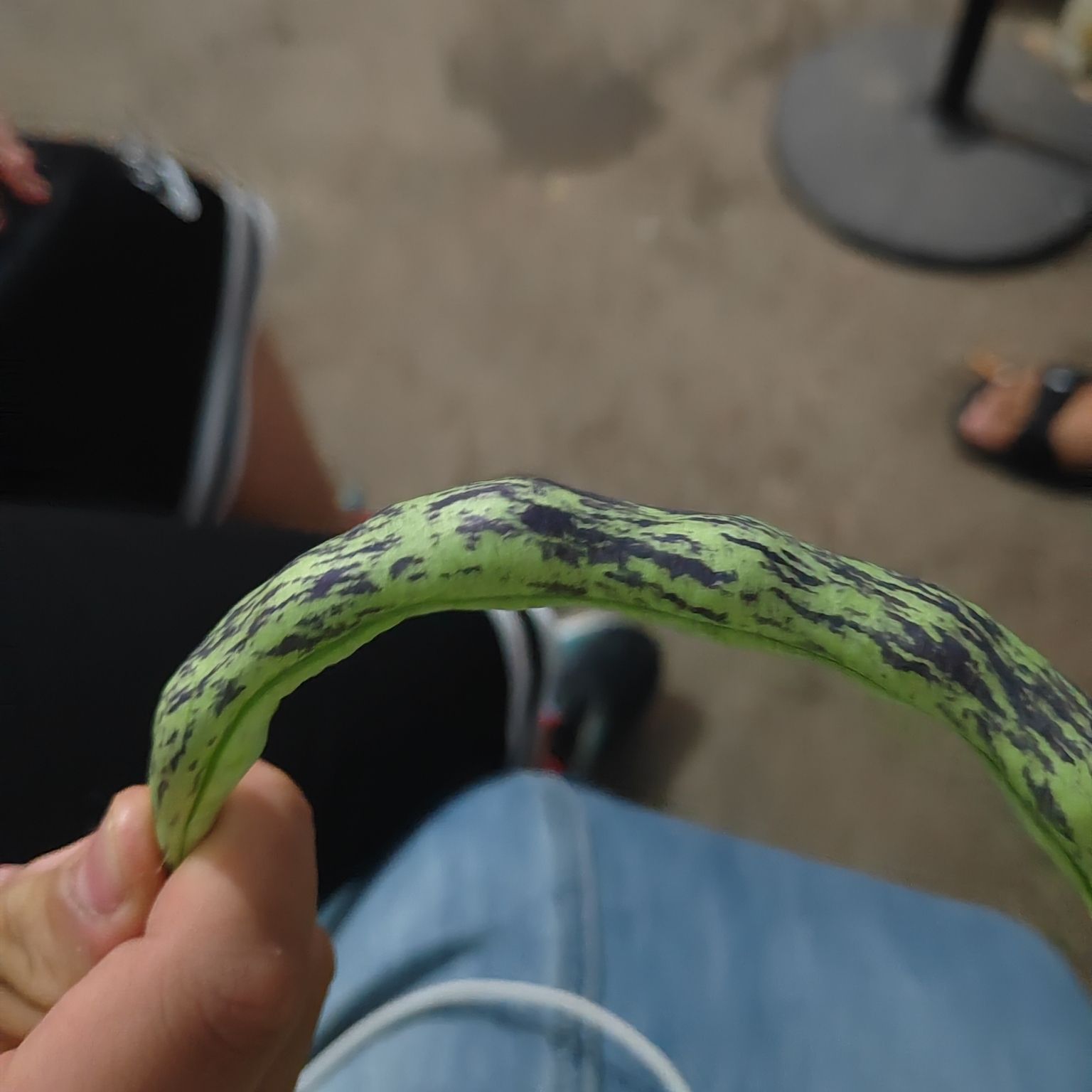 盆窑艺术小镇旅行图片 1