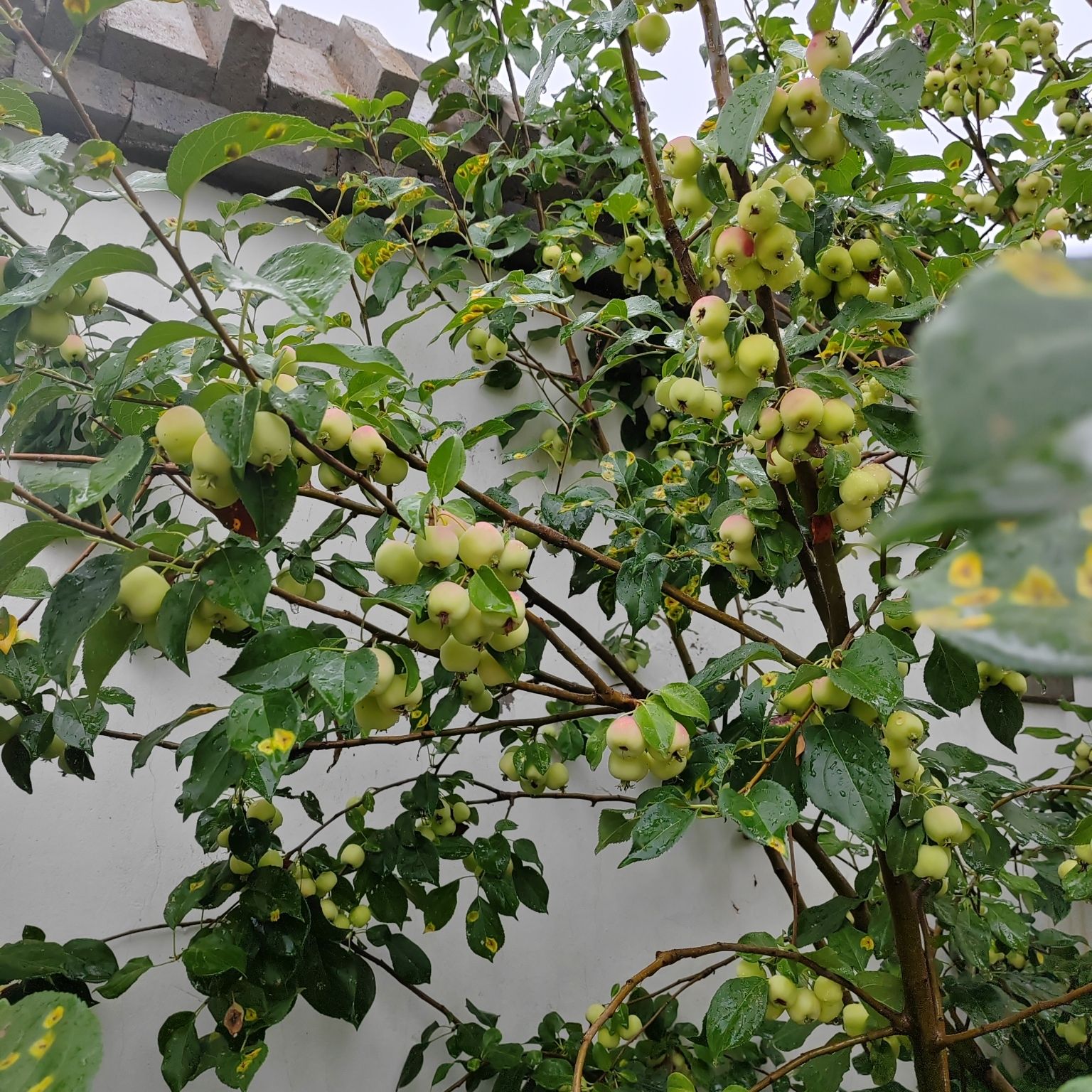 盆窑艺术小镇旅行图片 2
