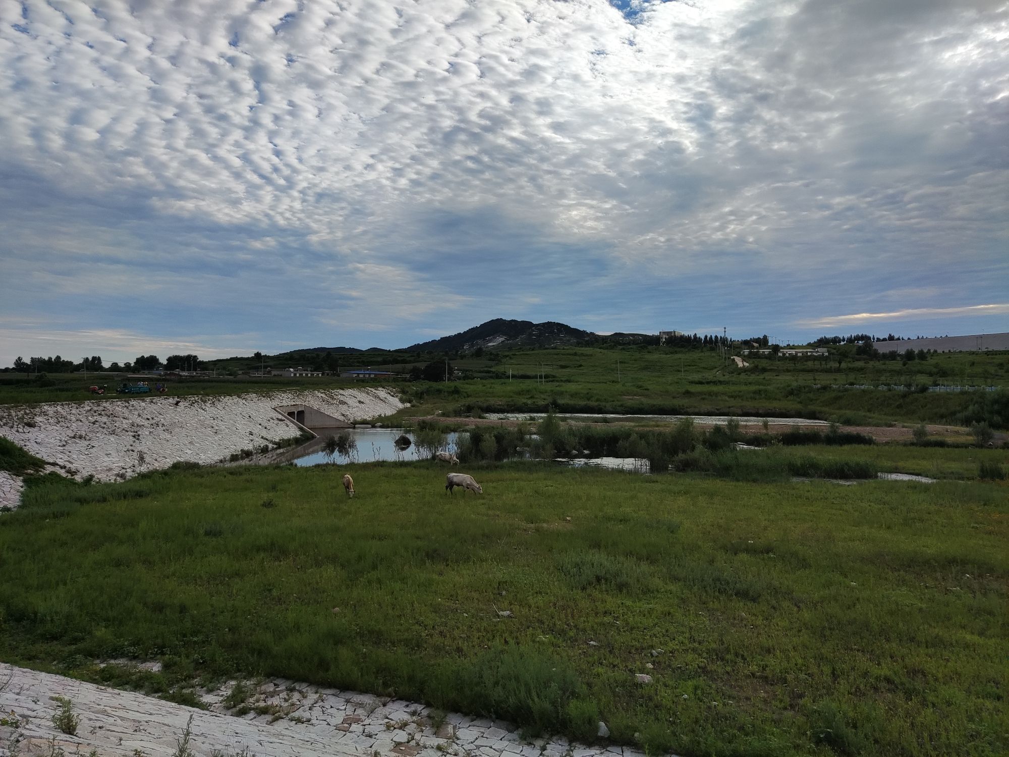 头道沟大青山风景区旅行图片 2