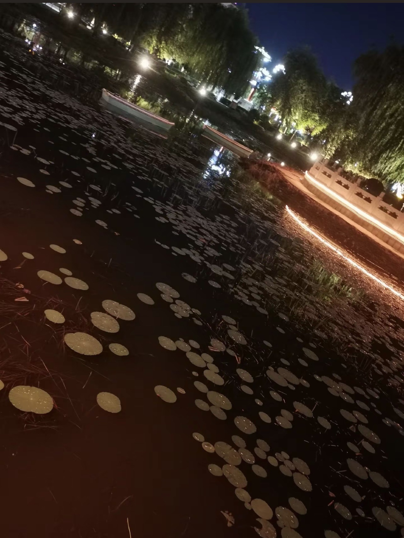 四季公园旅行图片 2