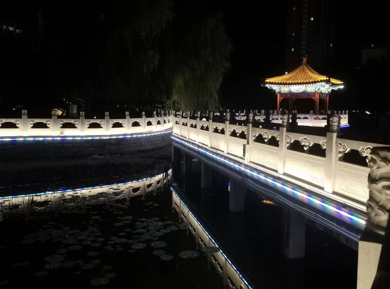 四季公园旅行图片 3