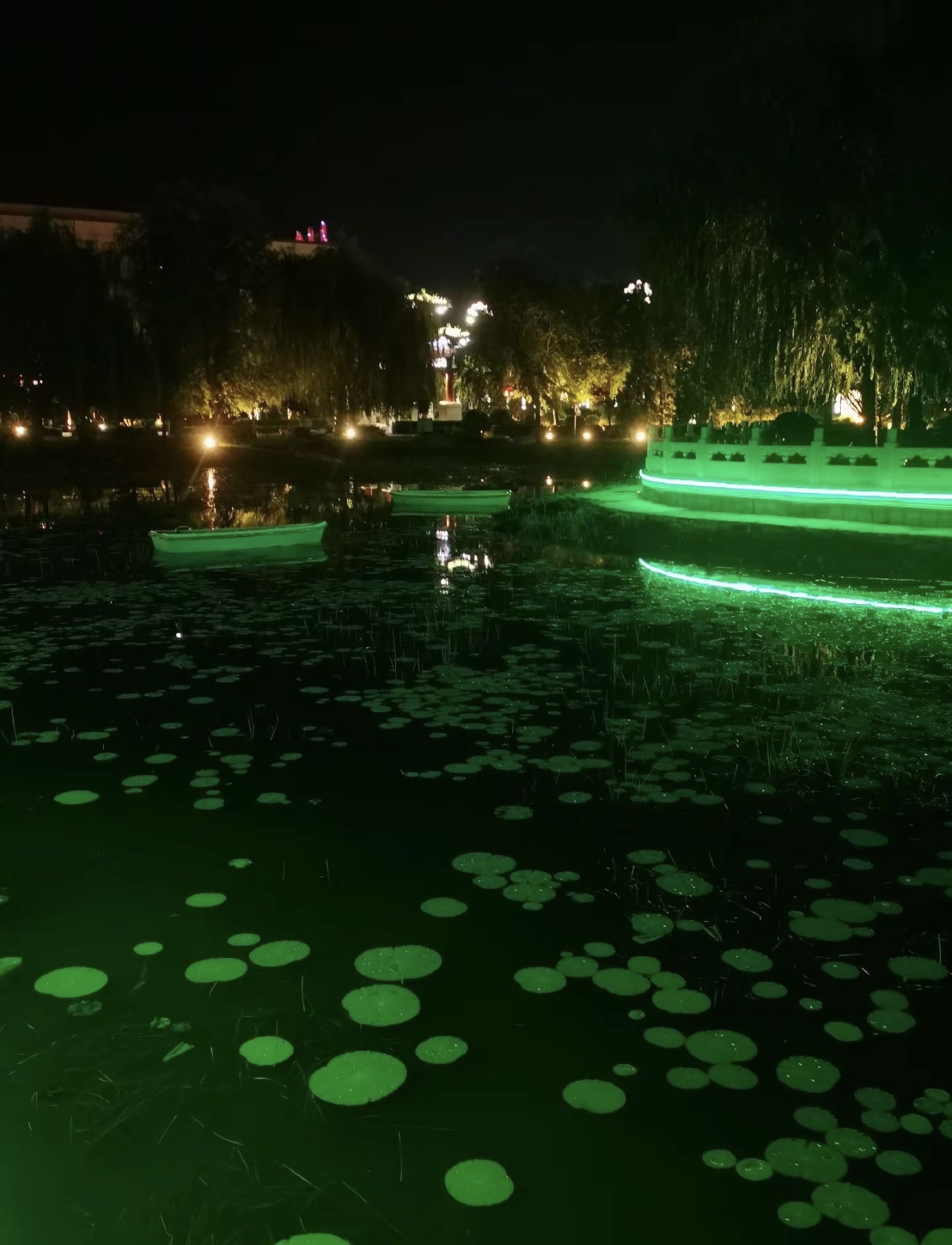 四季公园旅行图片 1