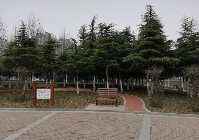 如意湖全民健身广场的第2张图片的图片资料