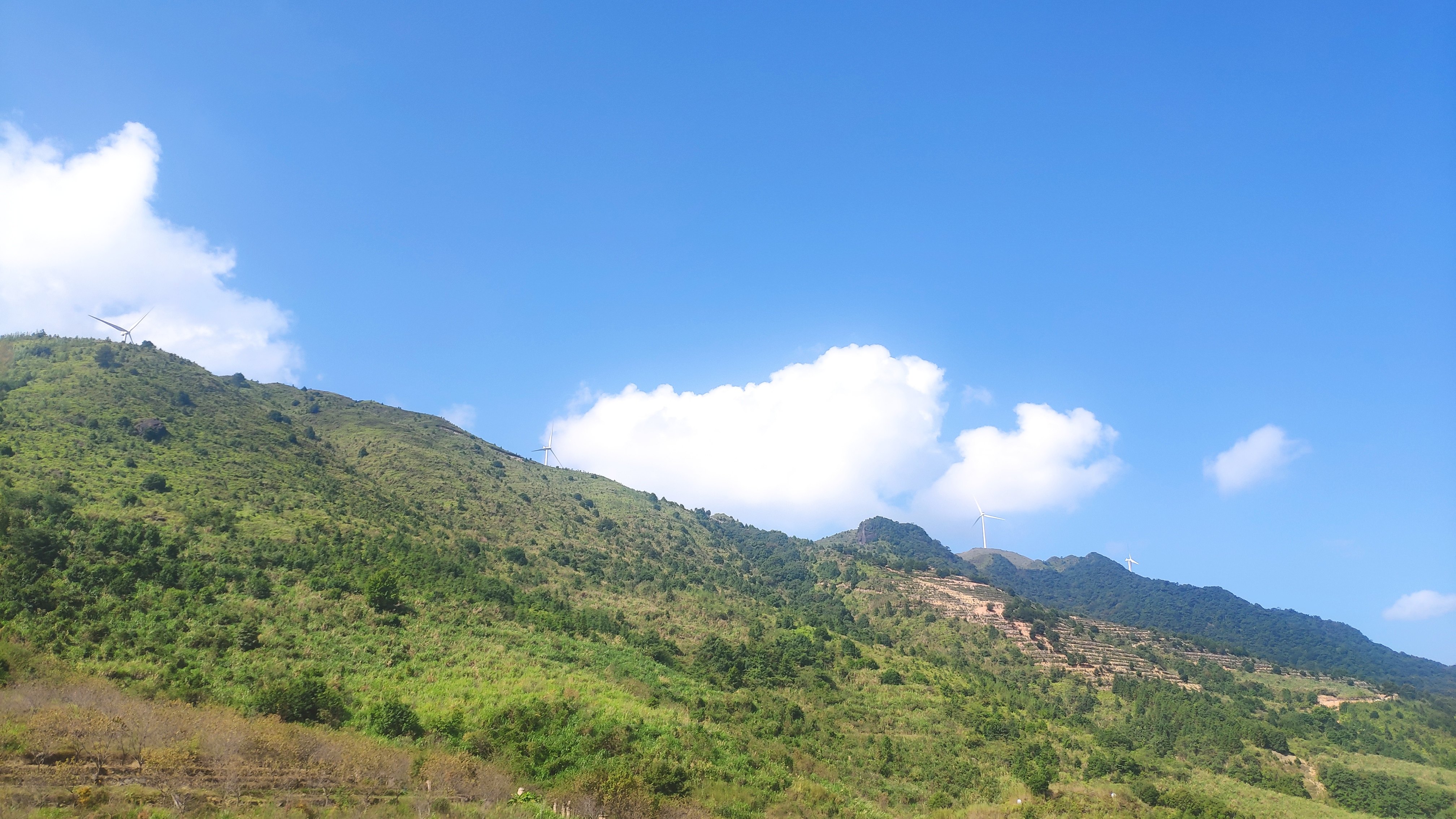紫云山生态园旅行图片 3