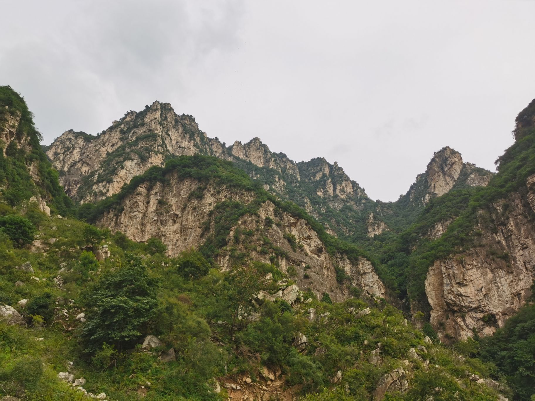 双塔庵双塔旅行图片 2