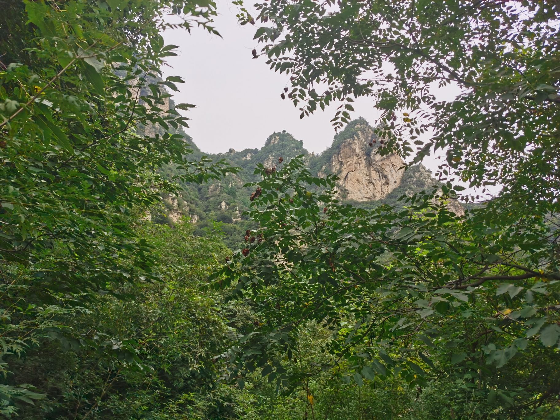 双塔庵双塔旅行图片 3