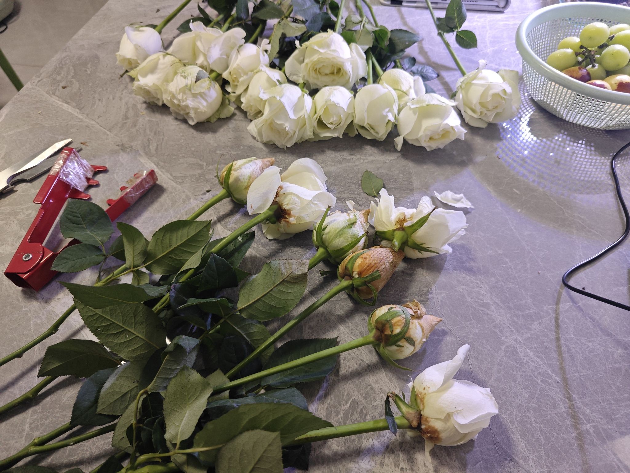新友花卉(杨家花卉世界店)
