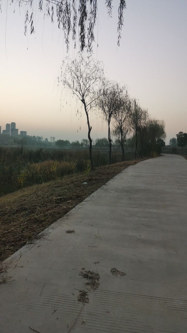 北涝圩湿地旅行图片 2