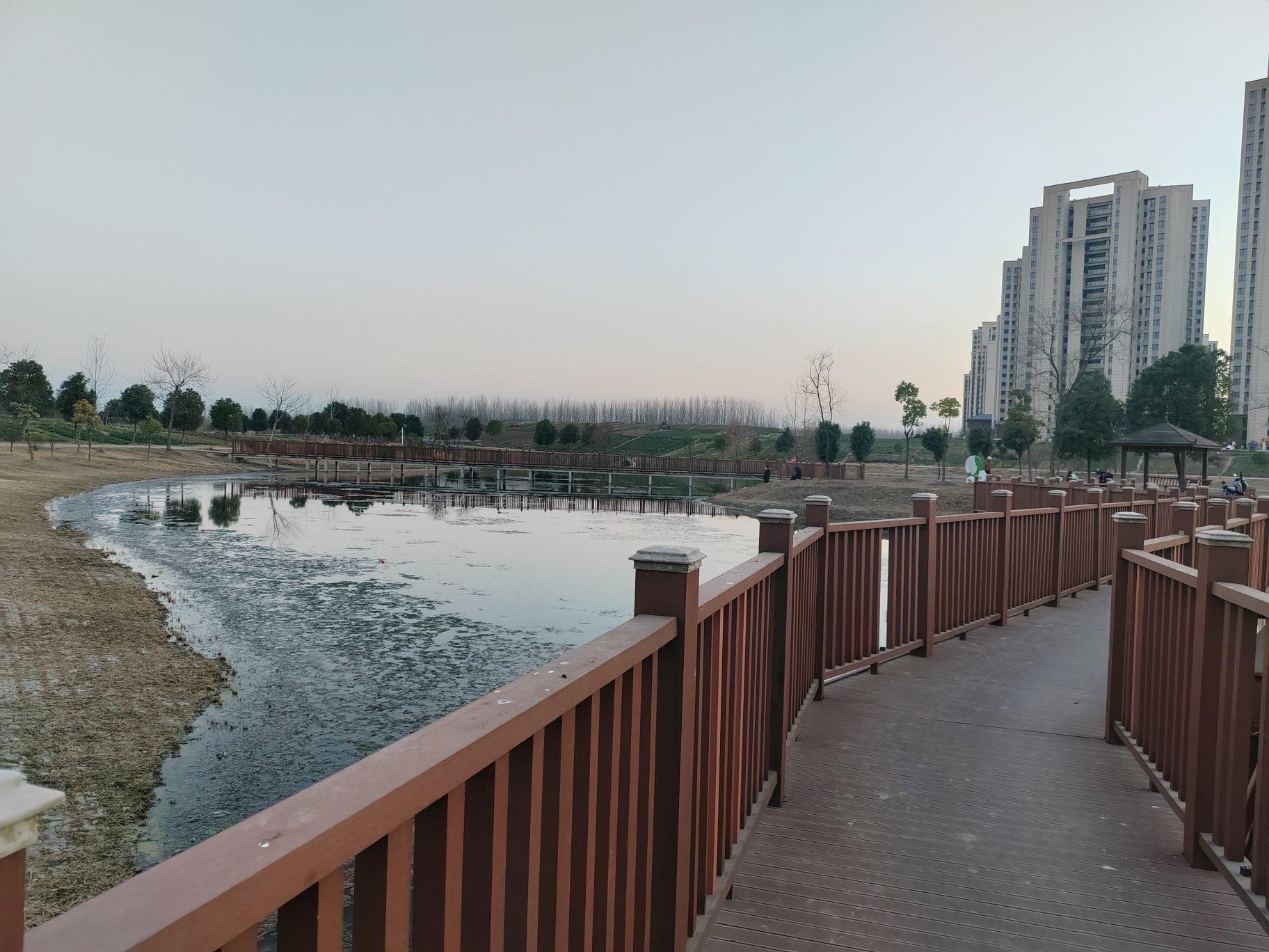 北涝圩湿地旅行图片 2
