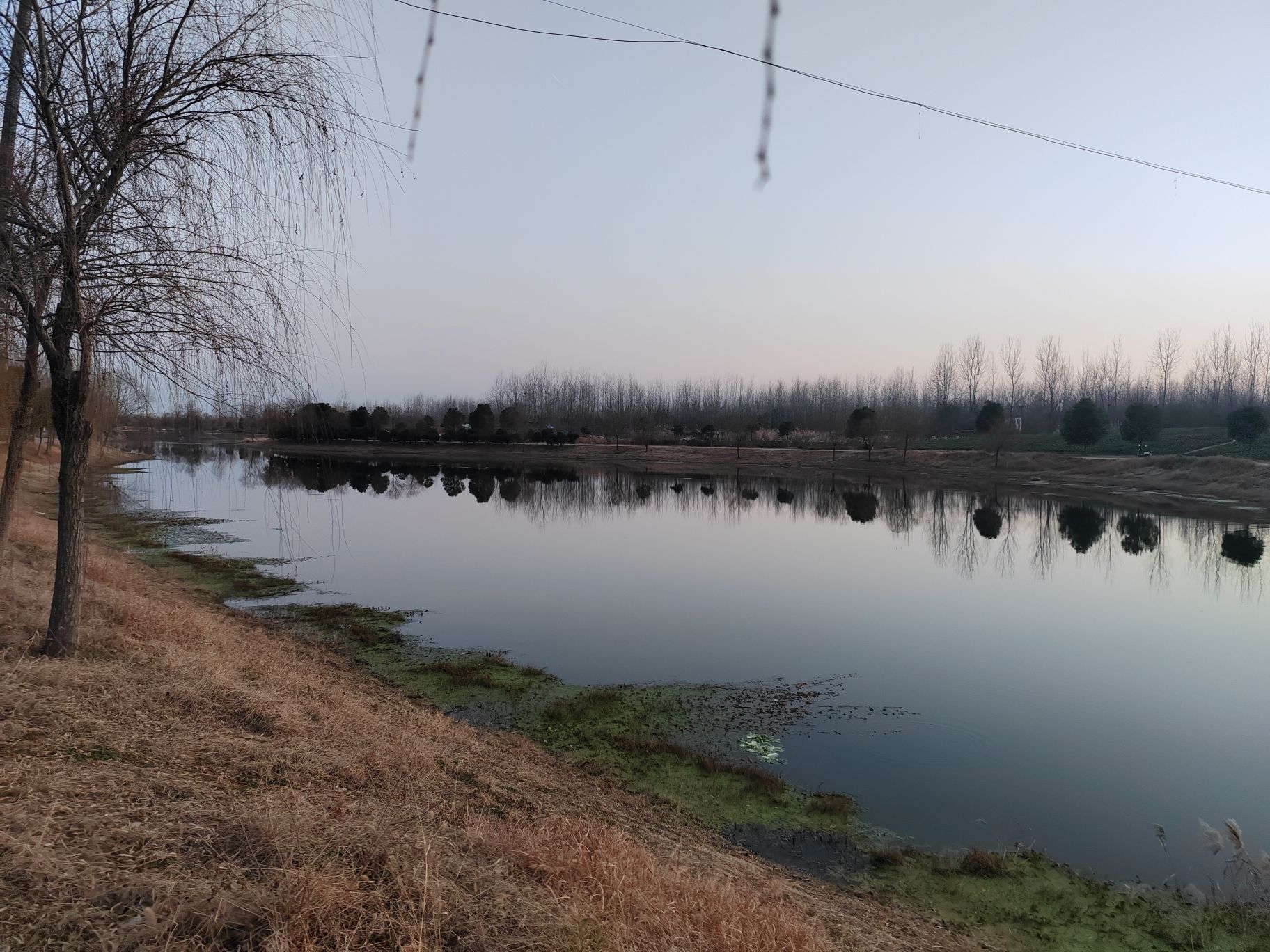 北涝圩湿地旅行图片 3