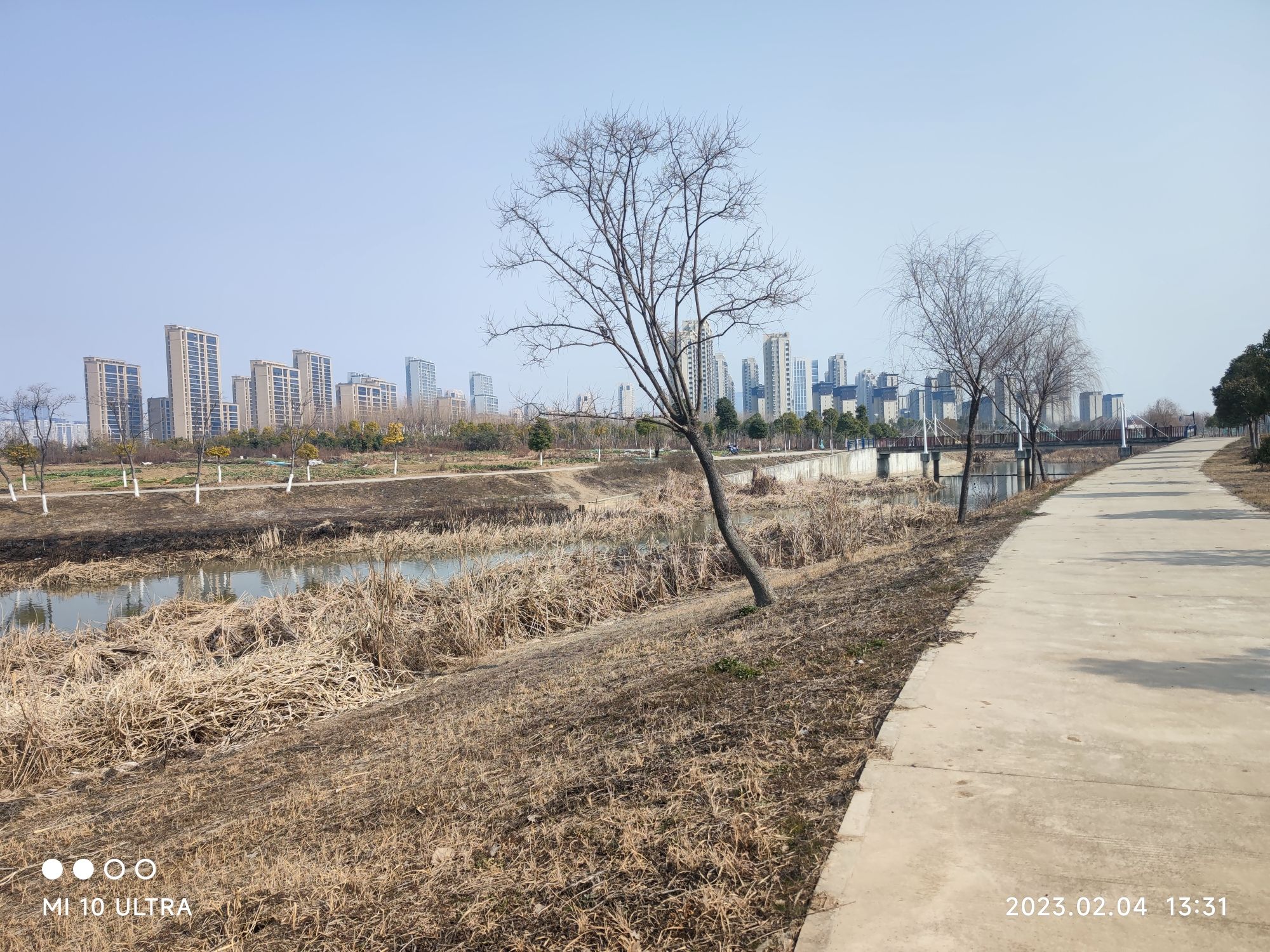 北涝圩湿地旅行图片 2