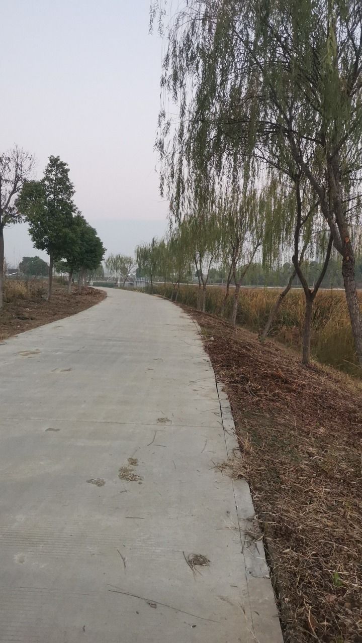 北涝圩湿地旅行图片 1
