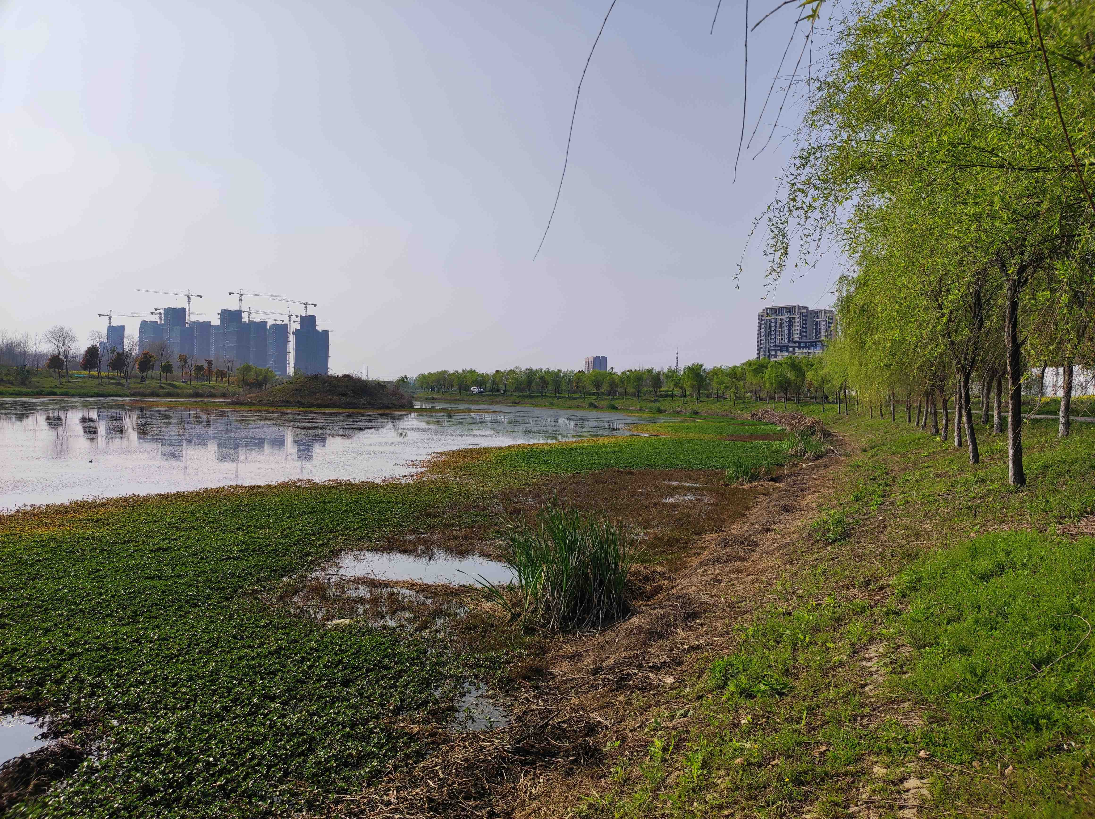 北涝圩湿地旅行图片 1