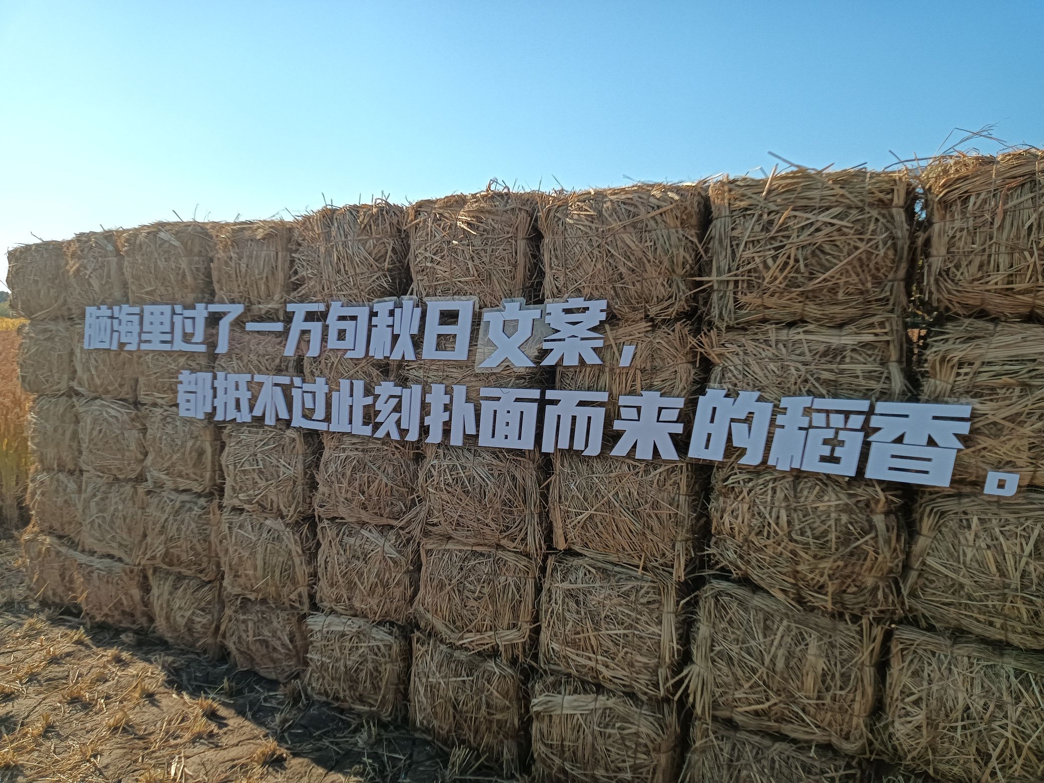 神农文化公园旅行图片 1