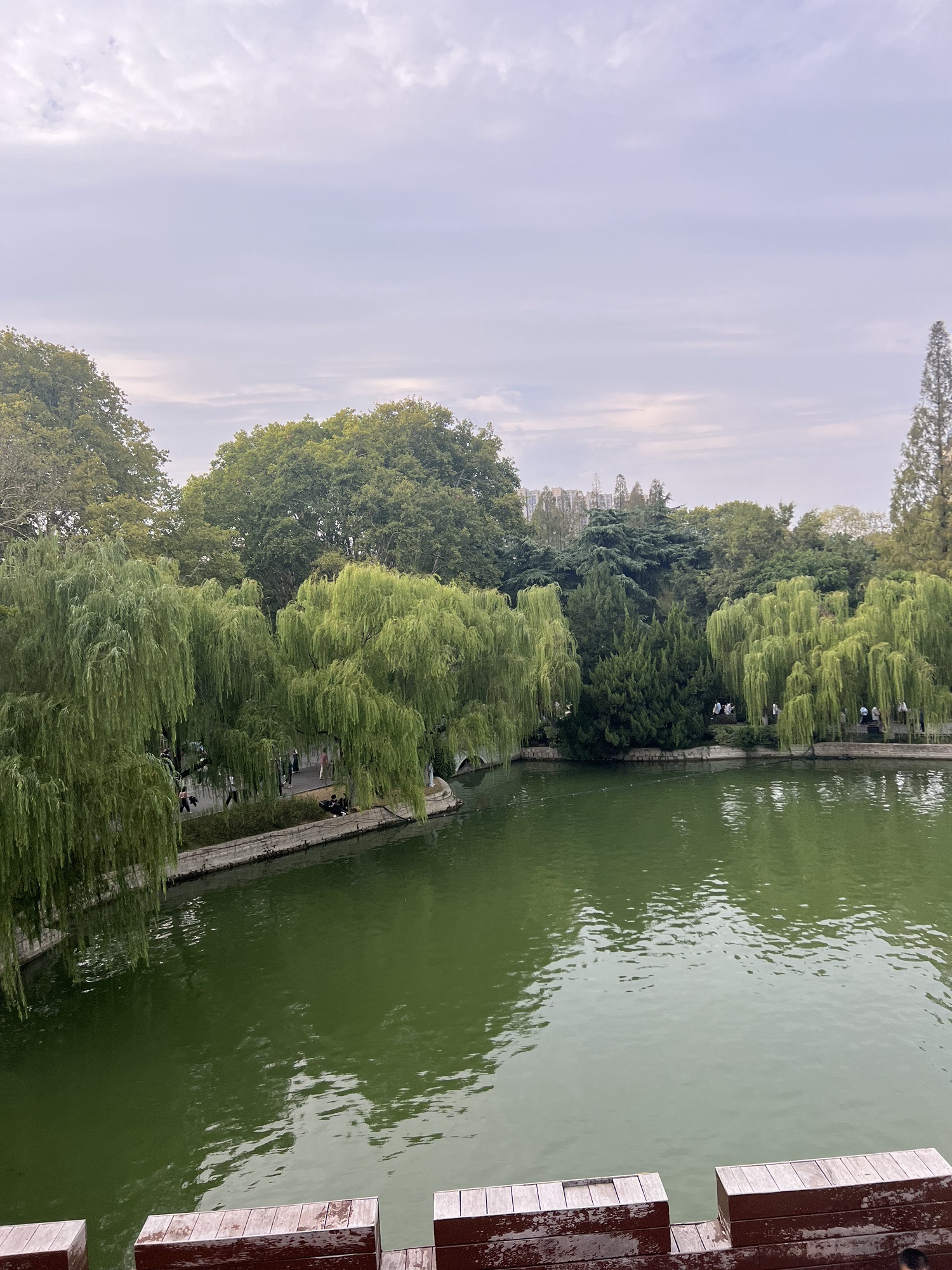肥东体育公园旅行图片 2