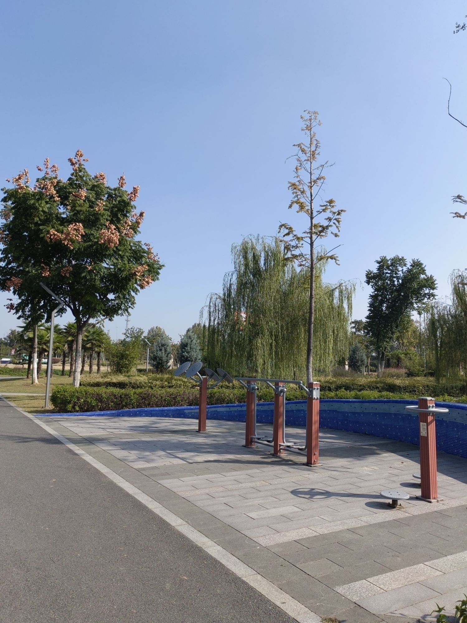 肥东体育公园旅行图片 3