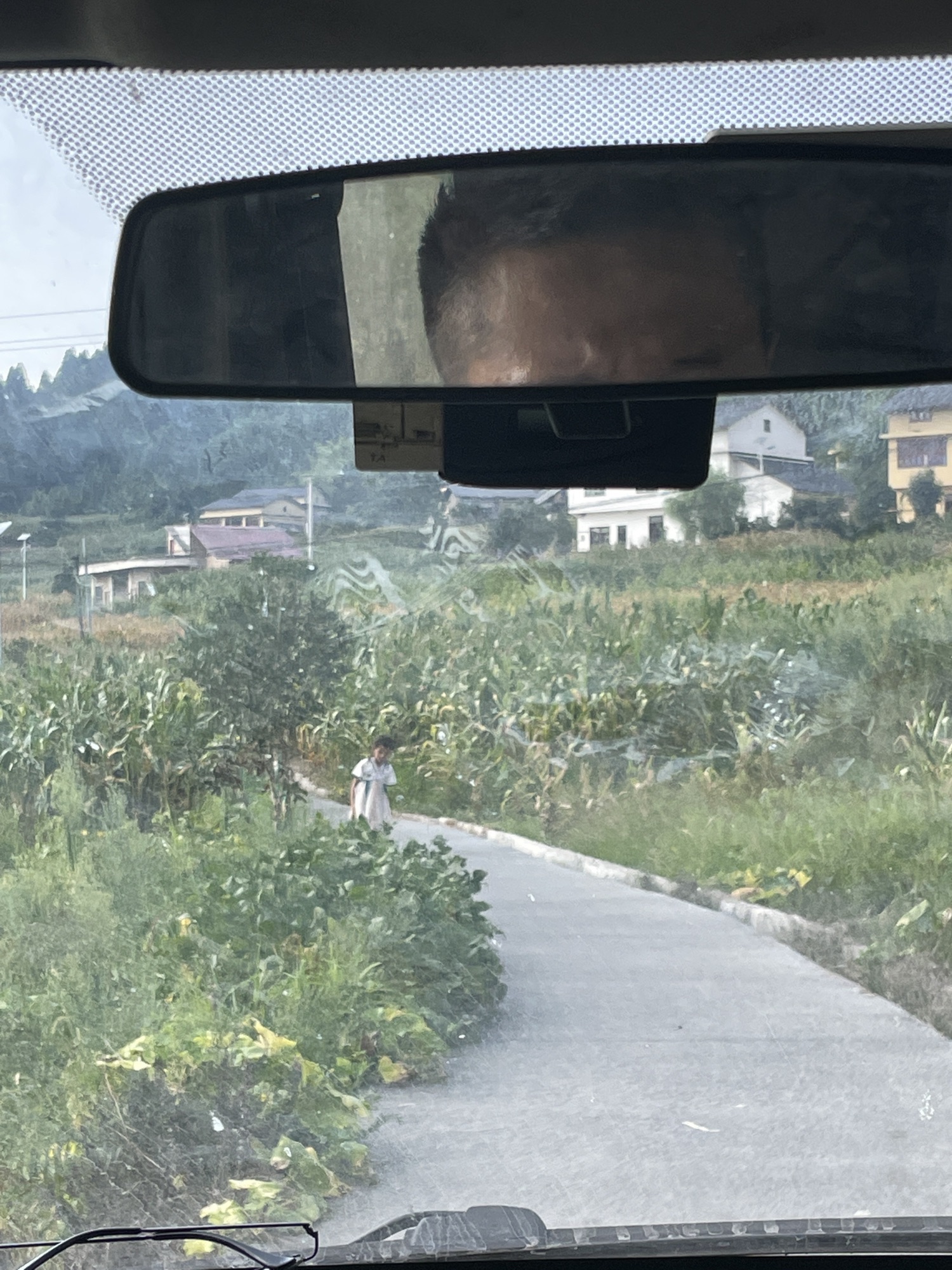 仙草湖旅行图片 1