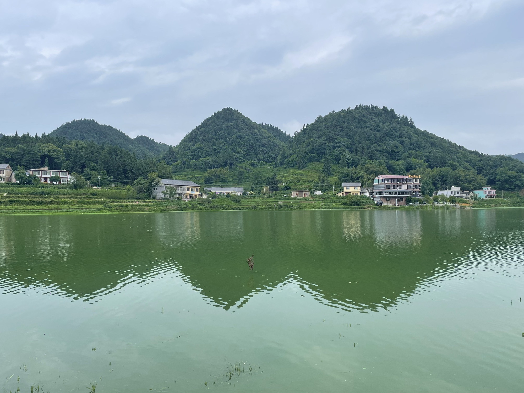 仙草湖旅行图片 2