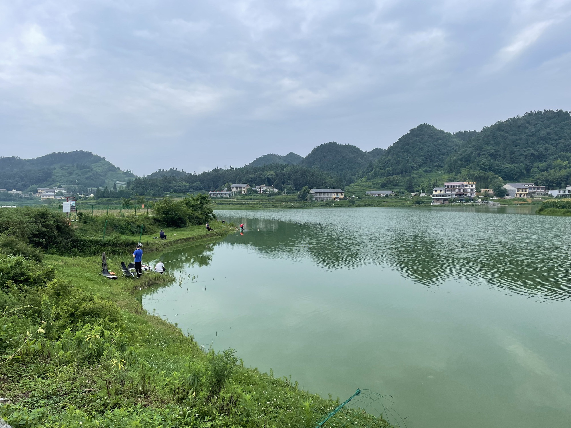 仙草湖旅行图片 3