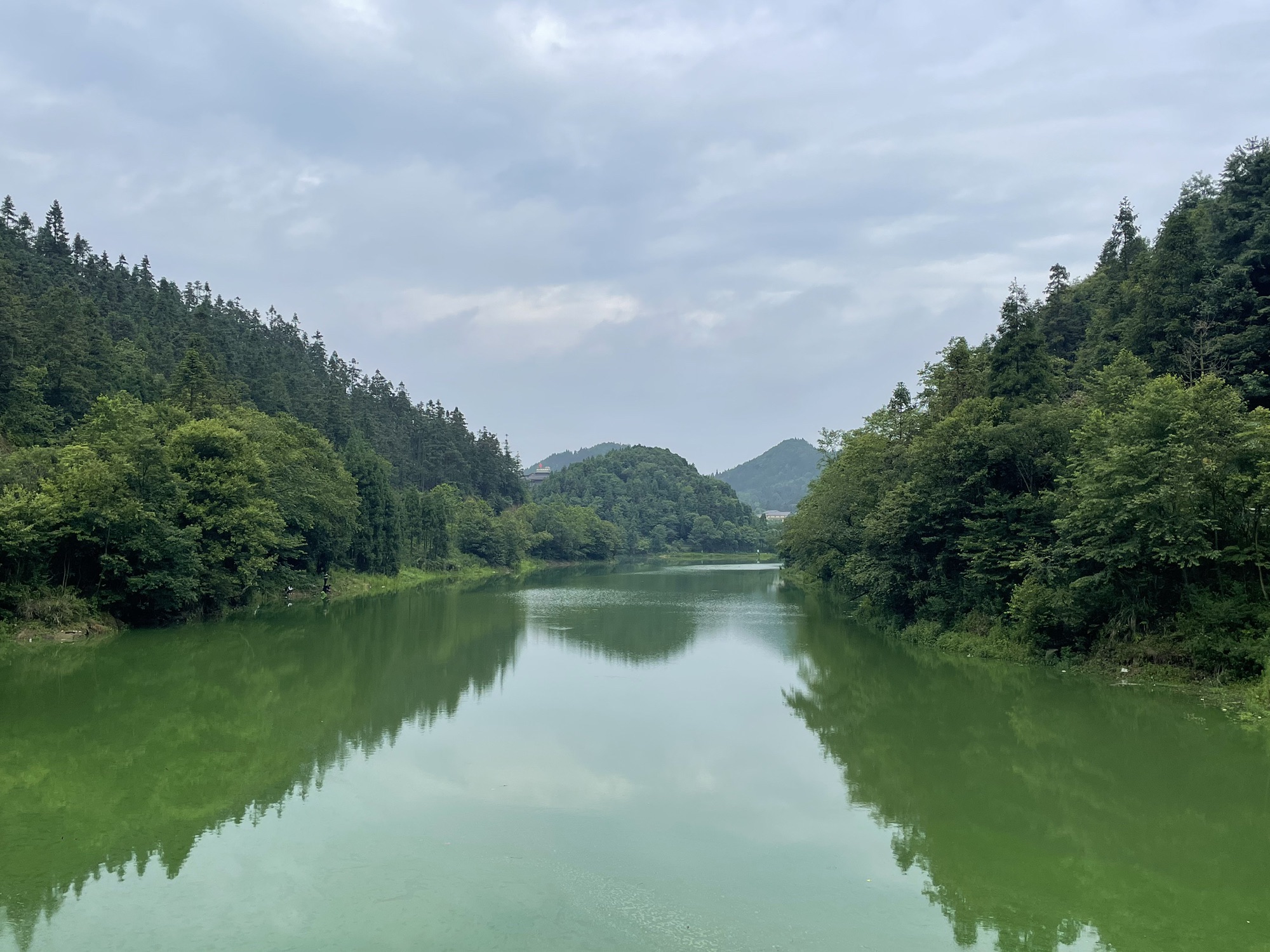 仙草湖旅行图片 1