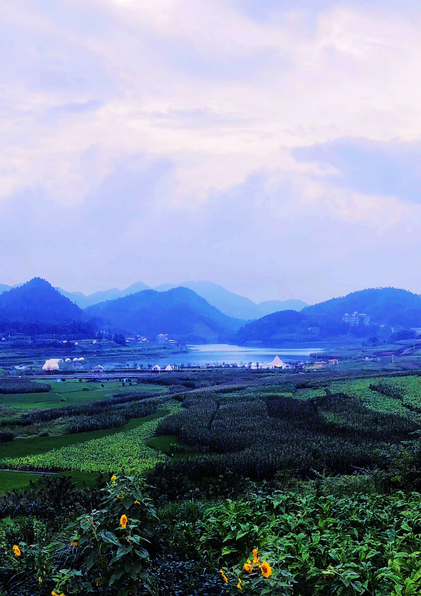 仙草湖旅行图片 1