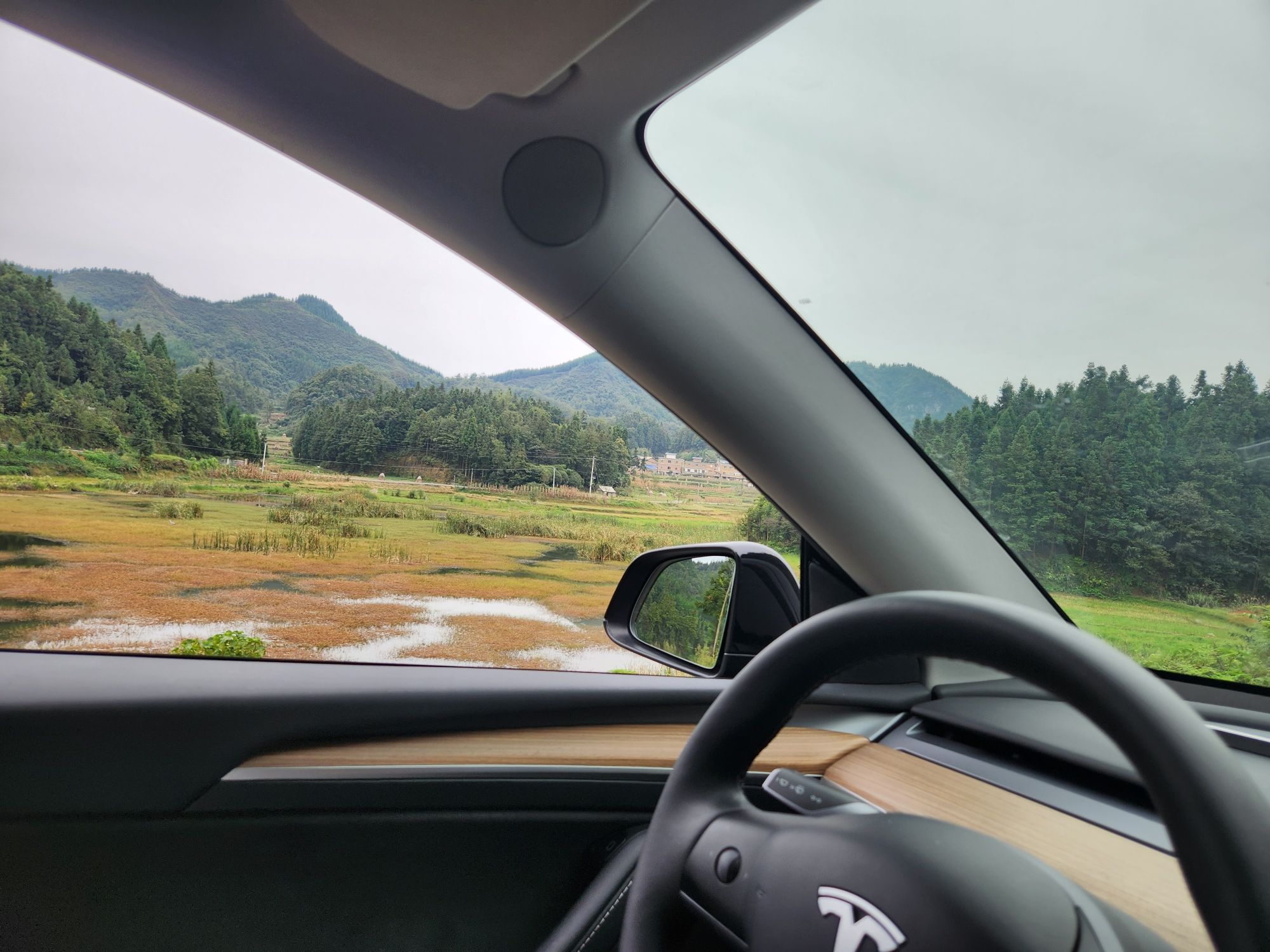 仙草湖旅行图片 1