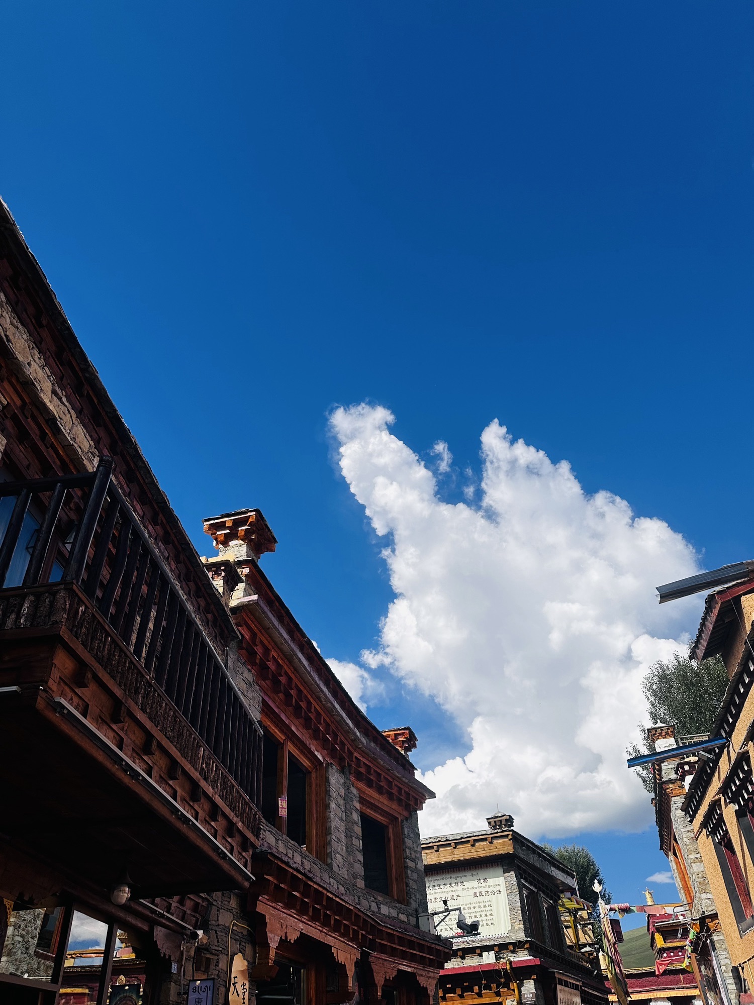 勒通古镇·千户藏寨旅游景区旅行图片 1
