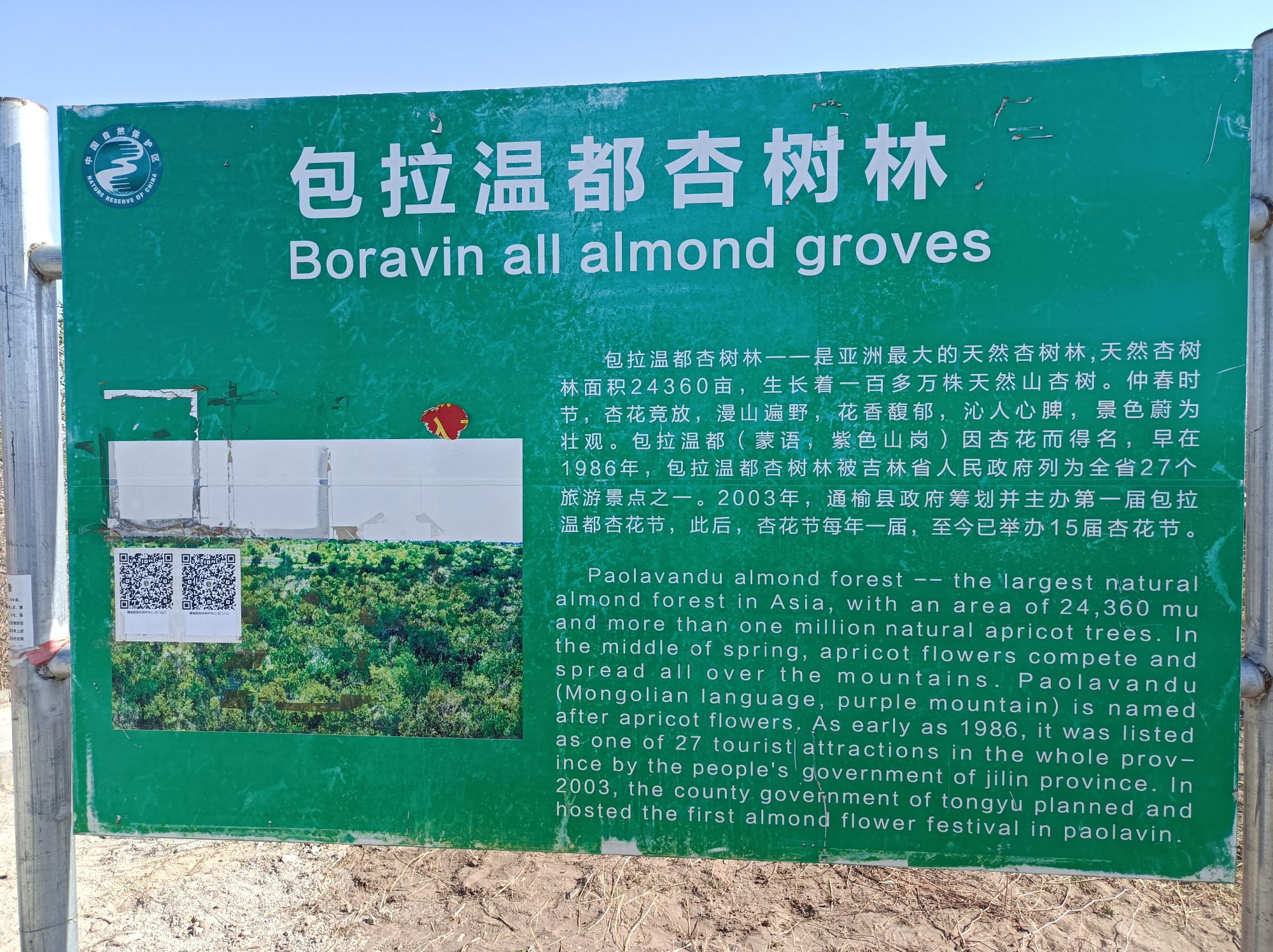 万亩杏花林景区旅行图片 1