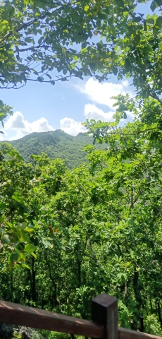 御龙山景区旅行图片 2