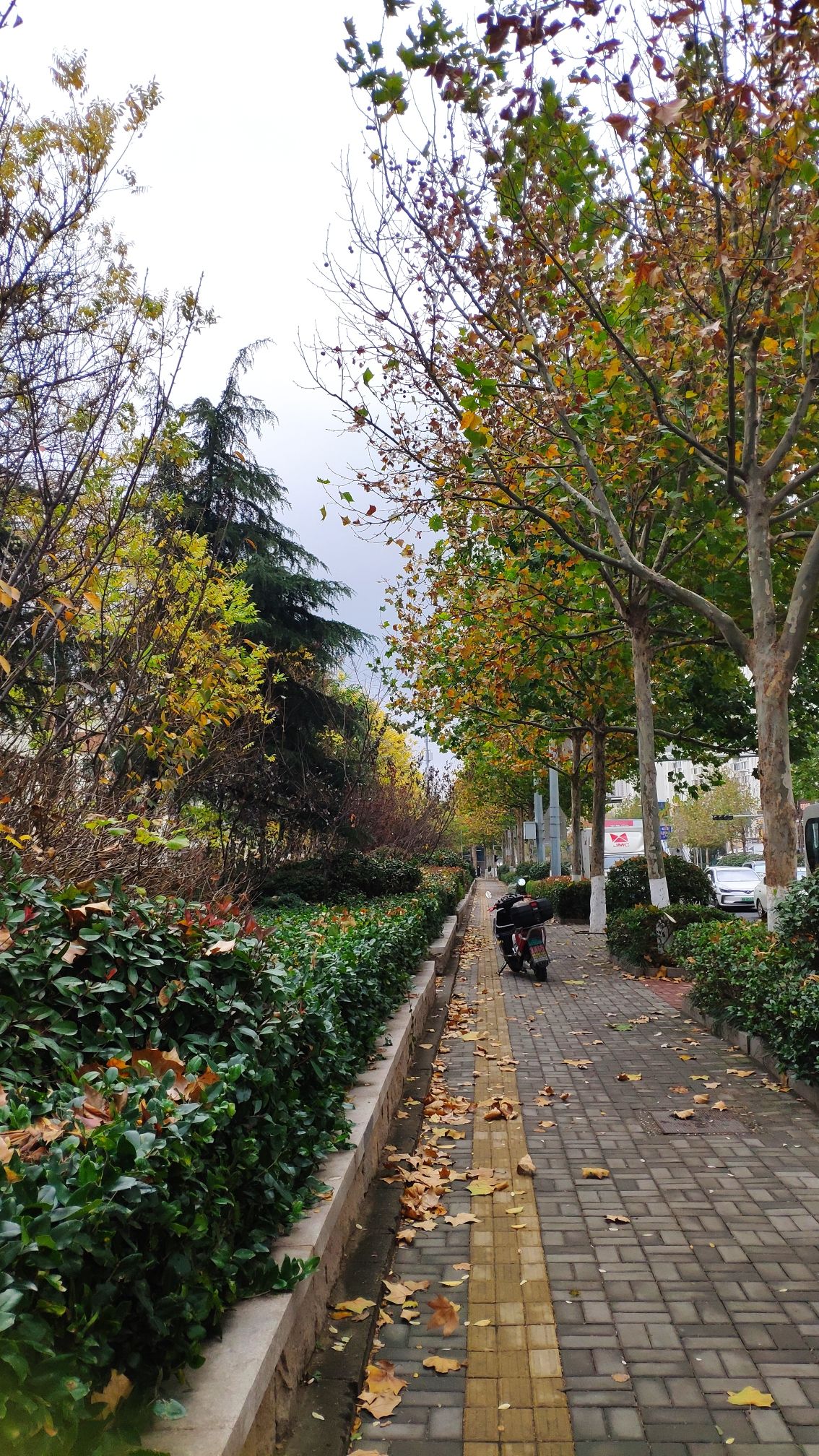 洪福广场旅行图片 2