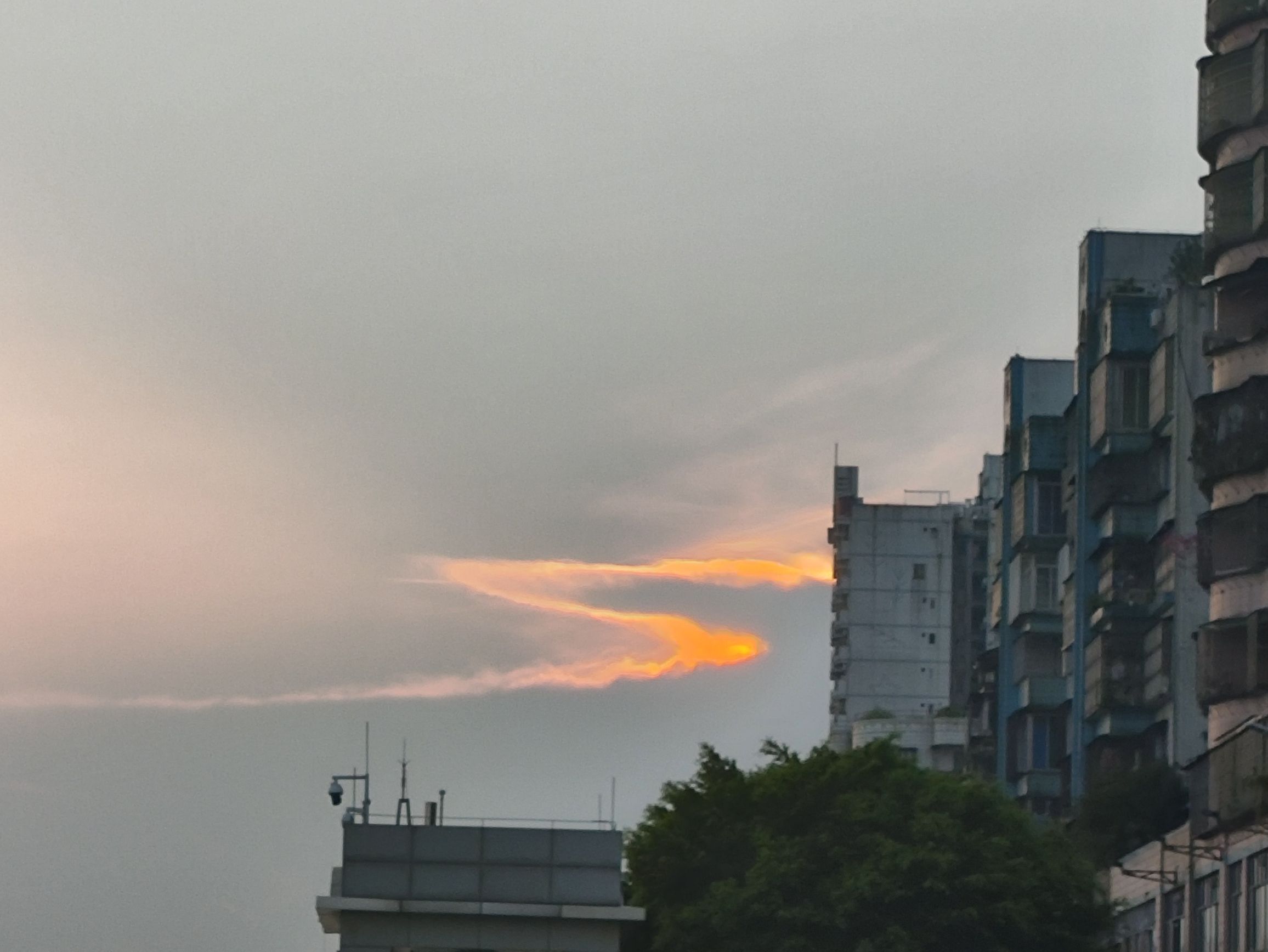 南门口公园旅行图片 3
