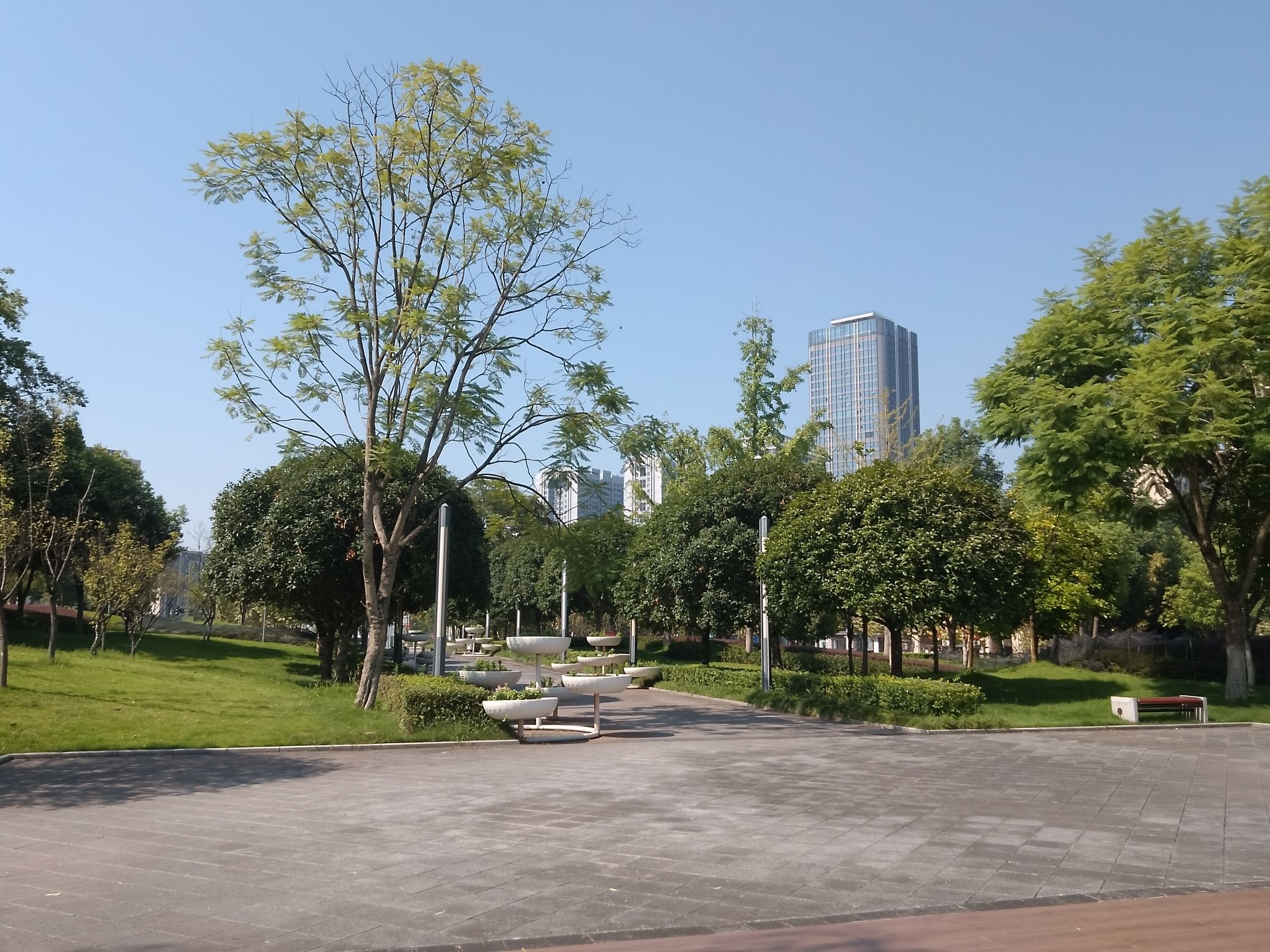 江津圣泉湖公园旅行图片 3