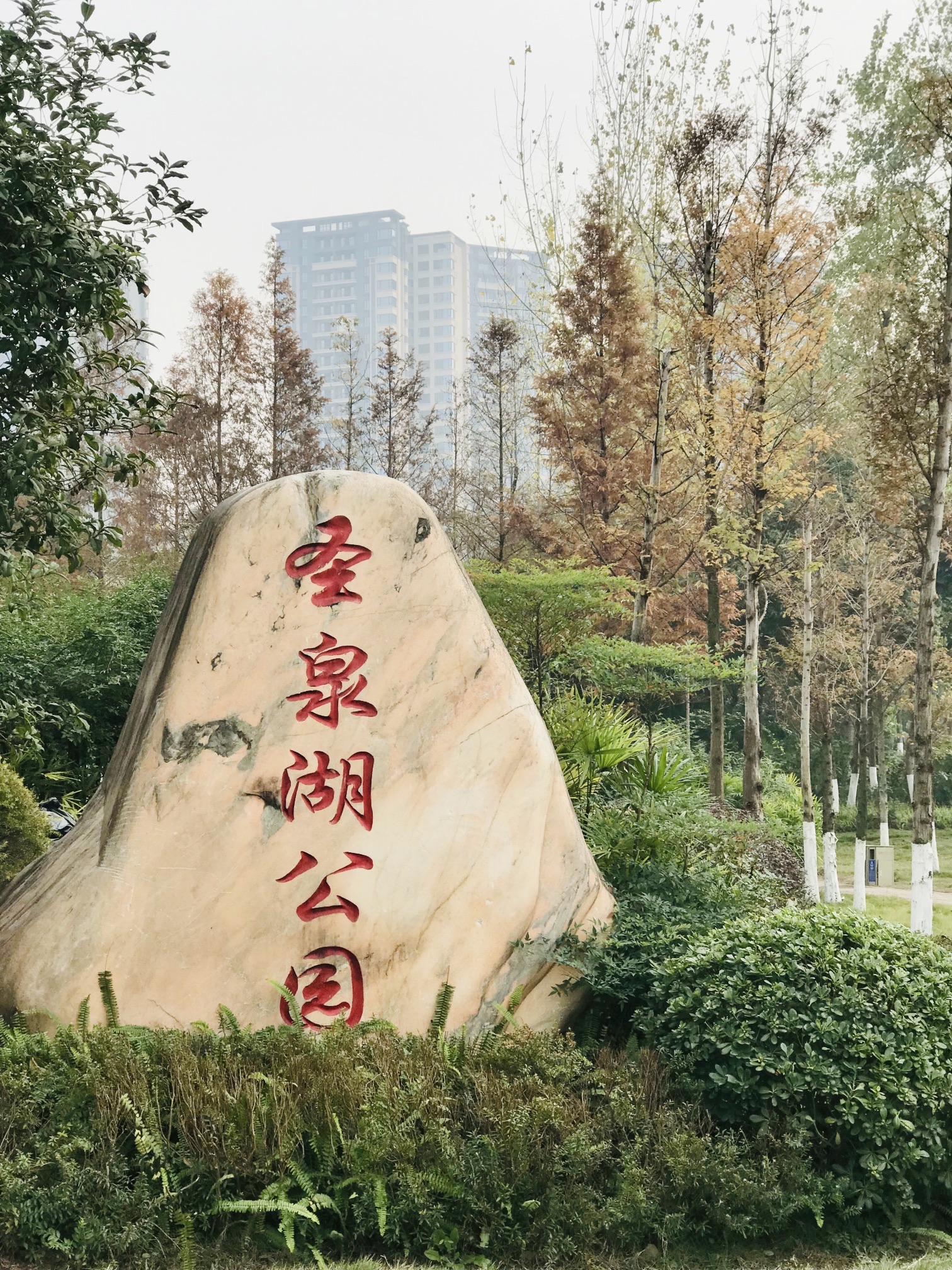江津圣泉湖公园旅行图片 1