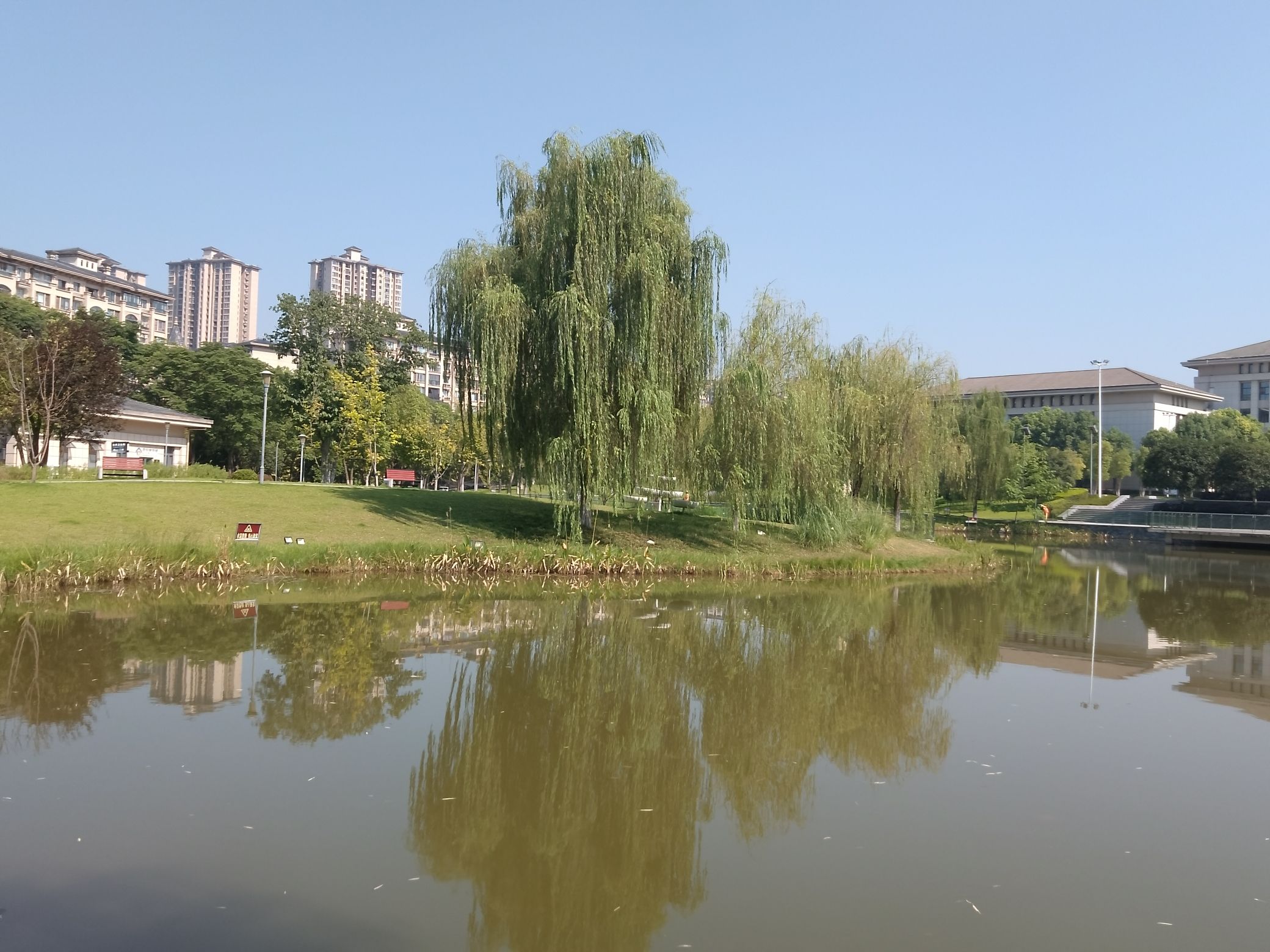 江津圣泉湖公园旅行图片 1