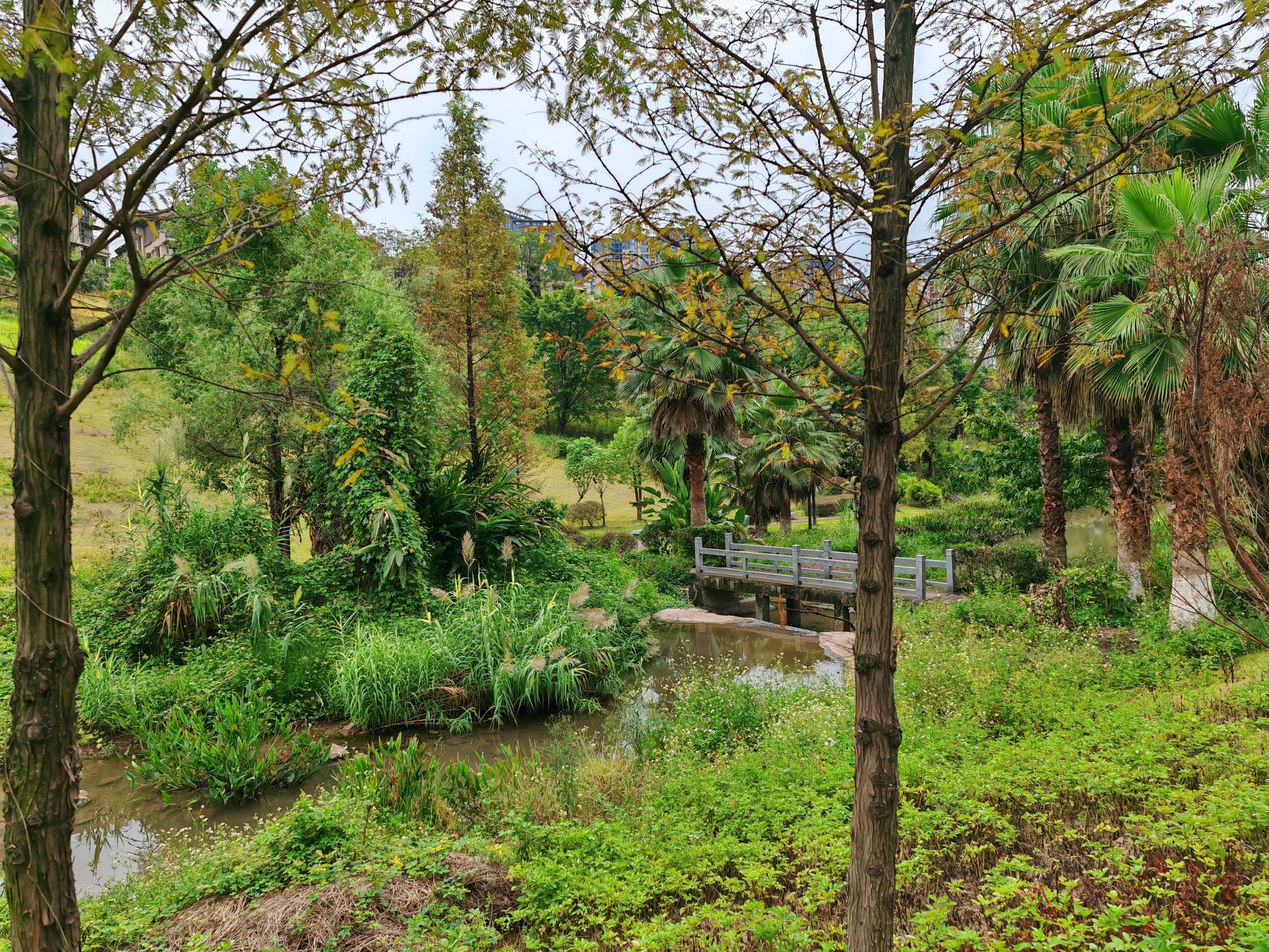 江津圣泉湖公园旅行图片 1