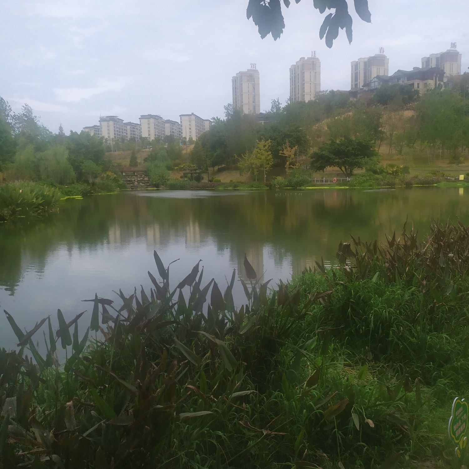 江津圣泉湖公园旅行图片 1