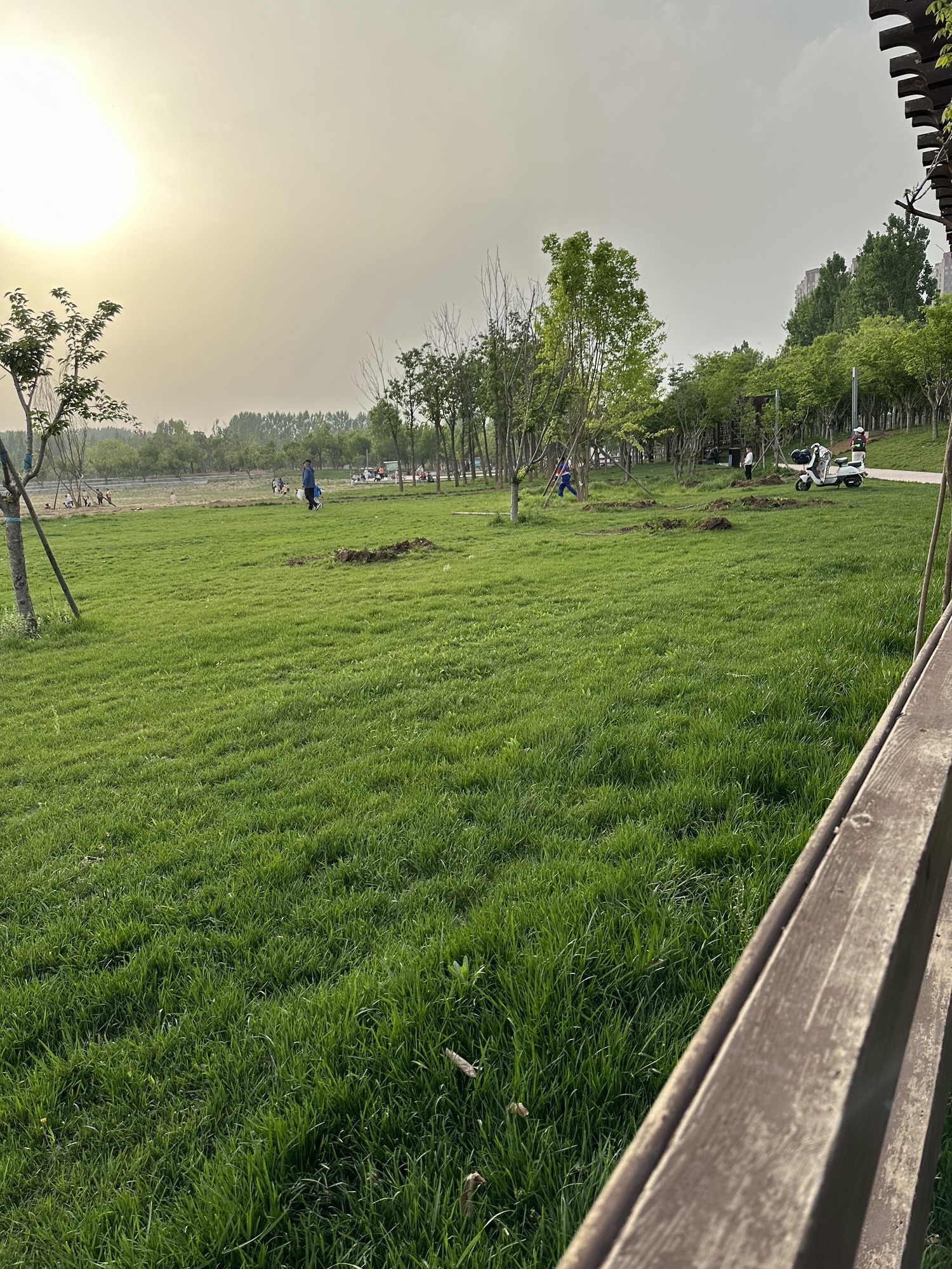 樱花公园旅行图片 2