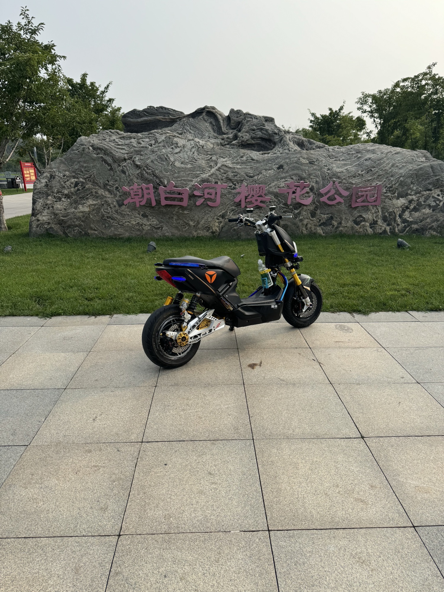 樱花公园旅行图片 1
