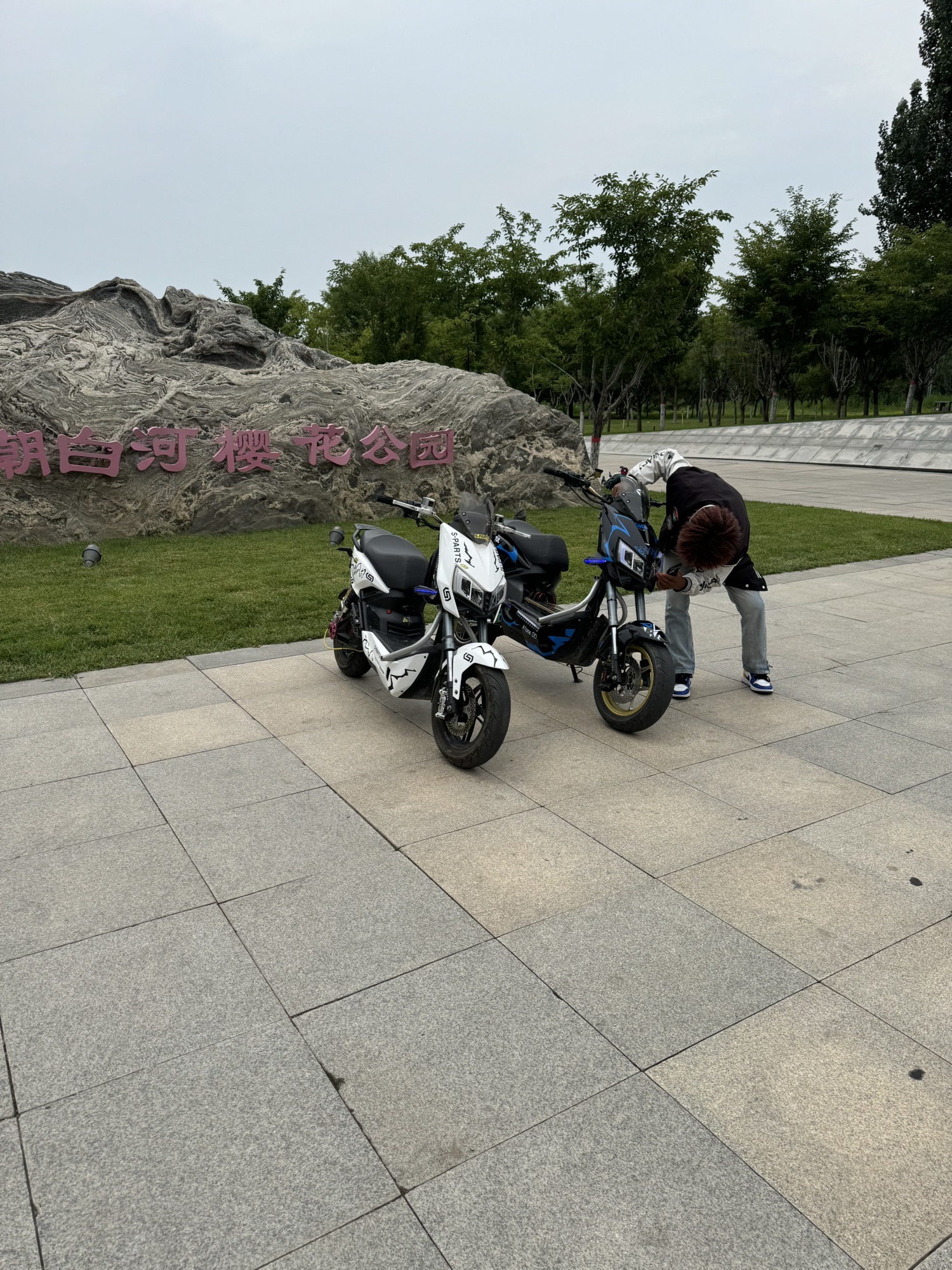 樱花公园旅行图片 2