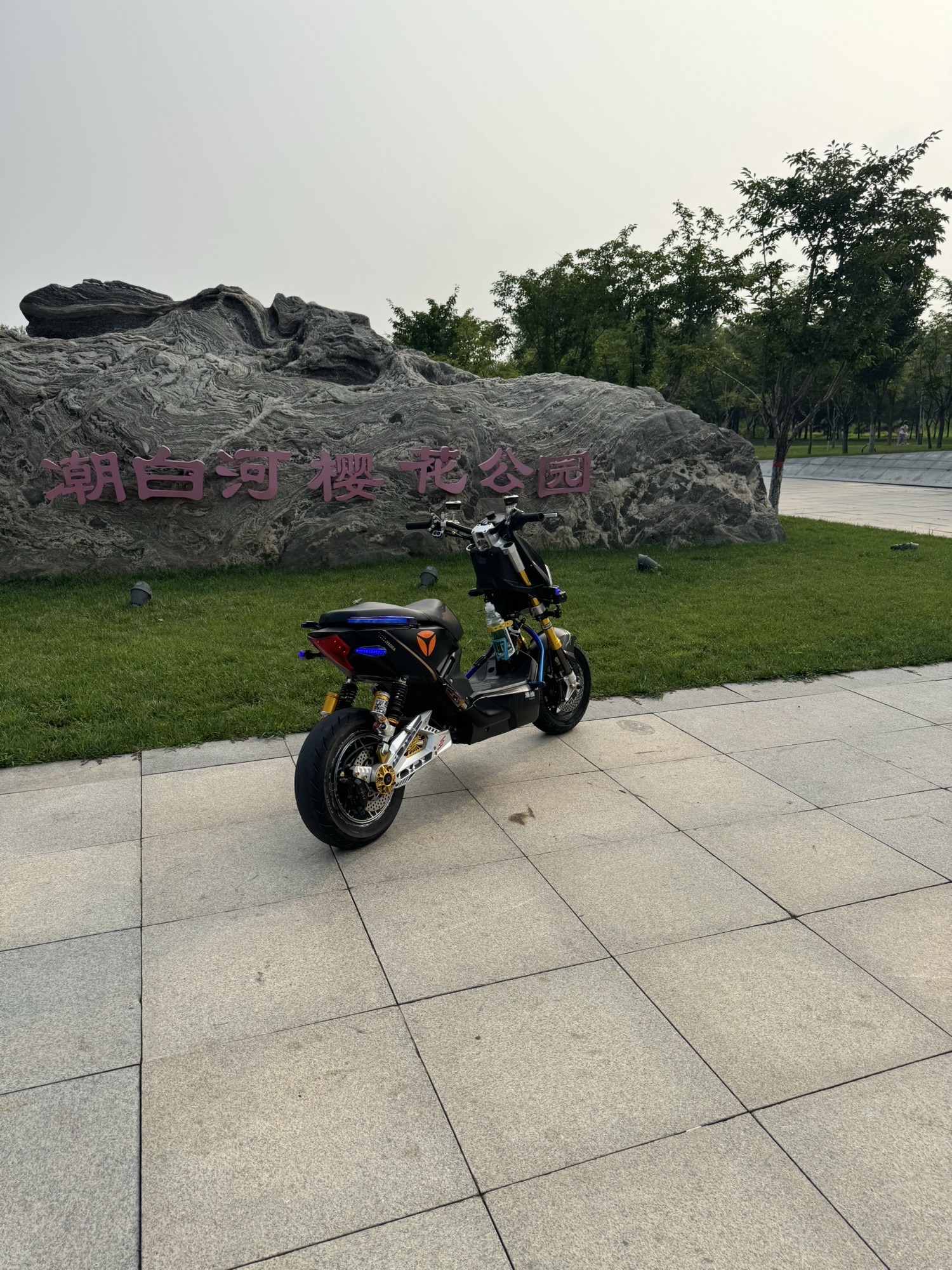 樱花公园旅行图片 3