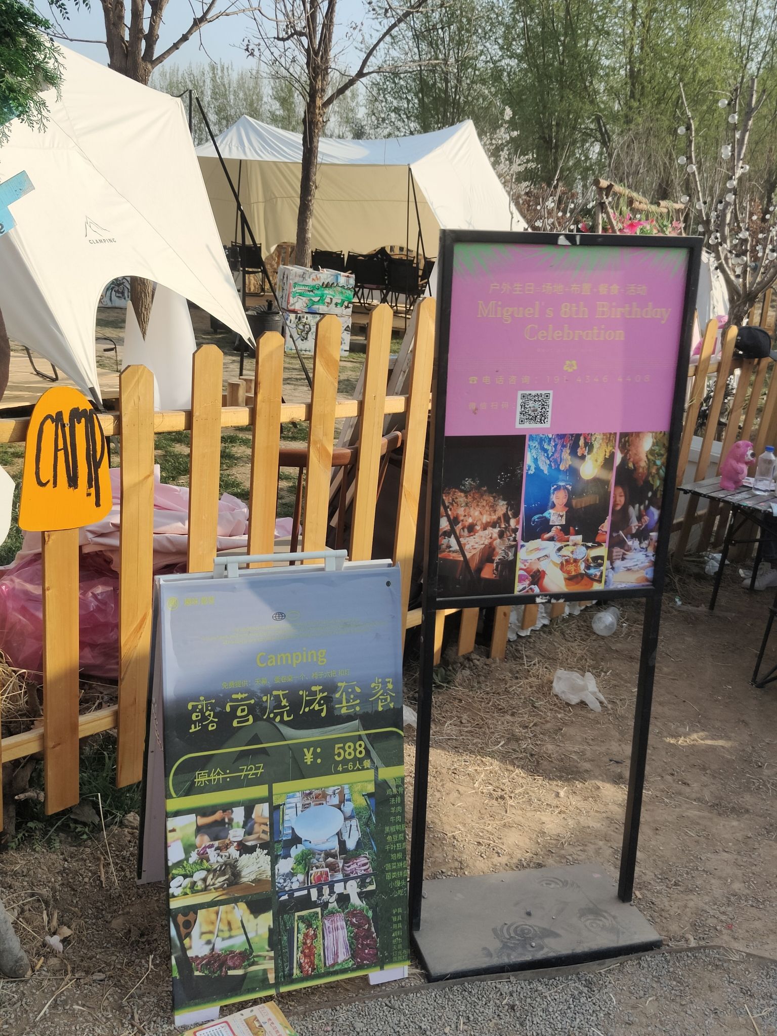 樱花公园旅行图片 3